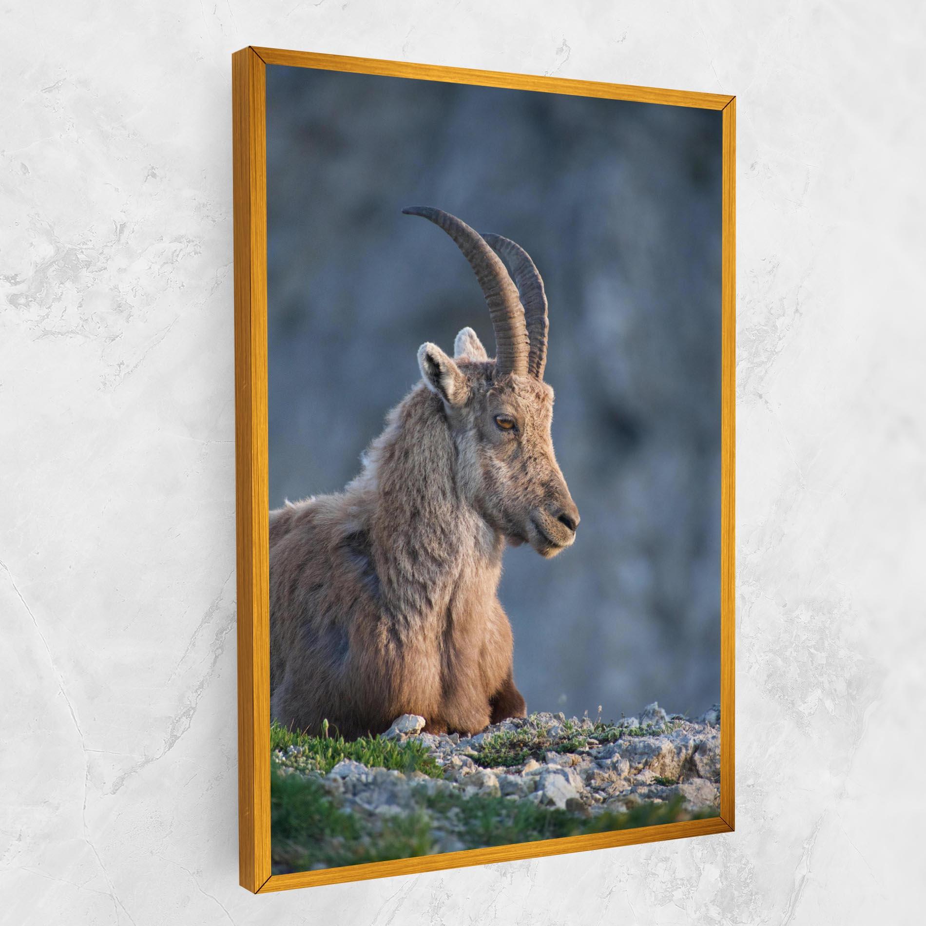 Картина на платно Mountain Goat mockup 1