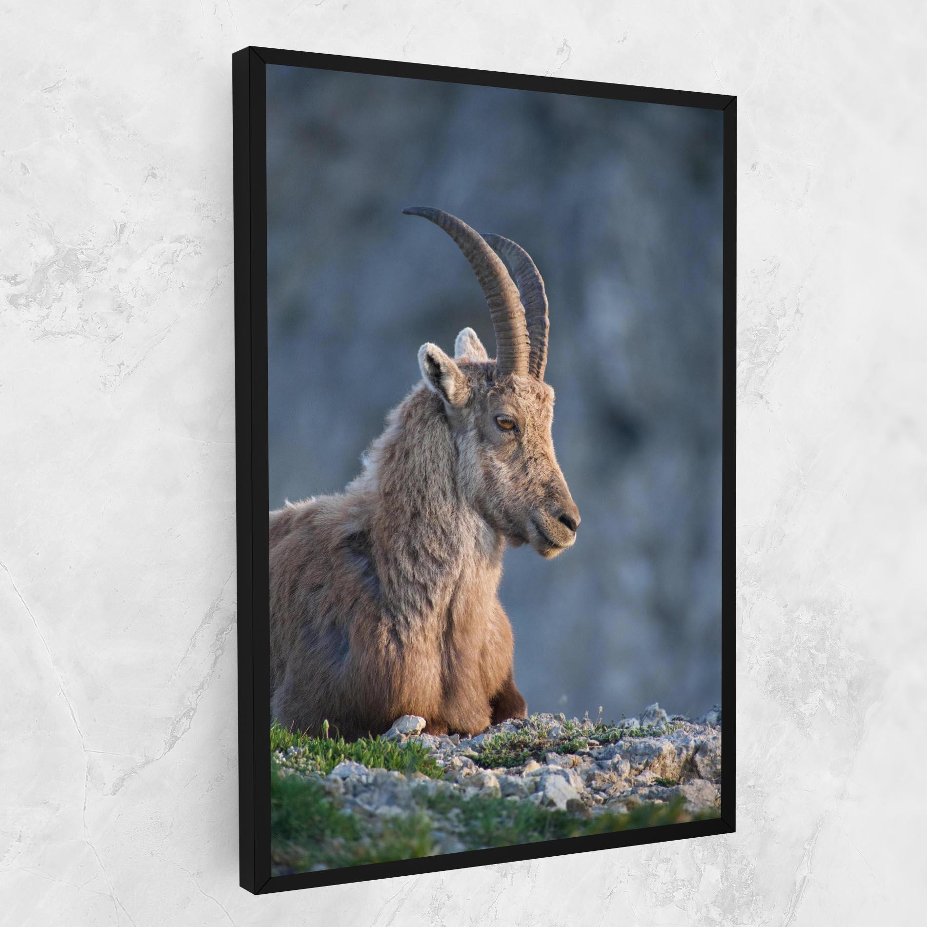 Картина на платно Mountain Goat mockup 1
