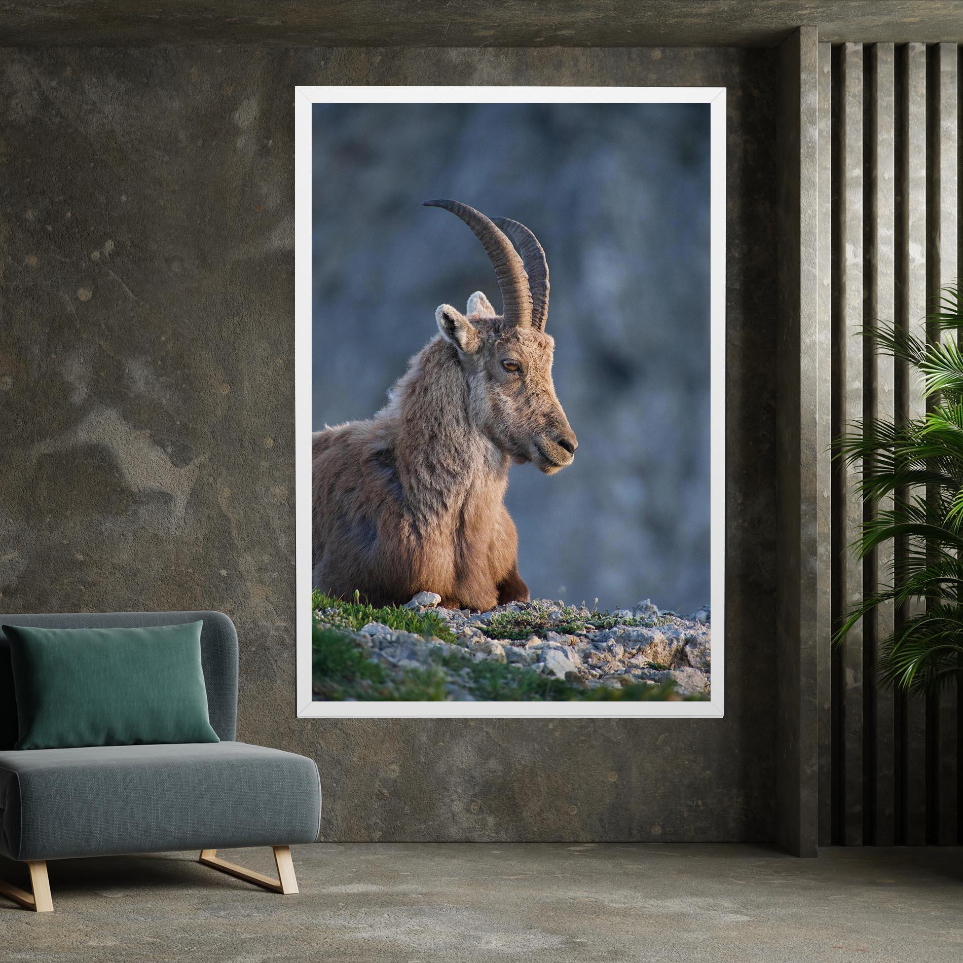 Картина на платно Mountain Goat mockup 7
