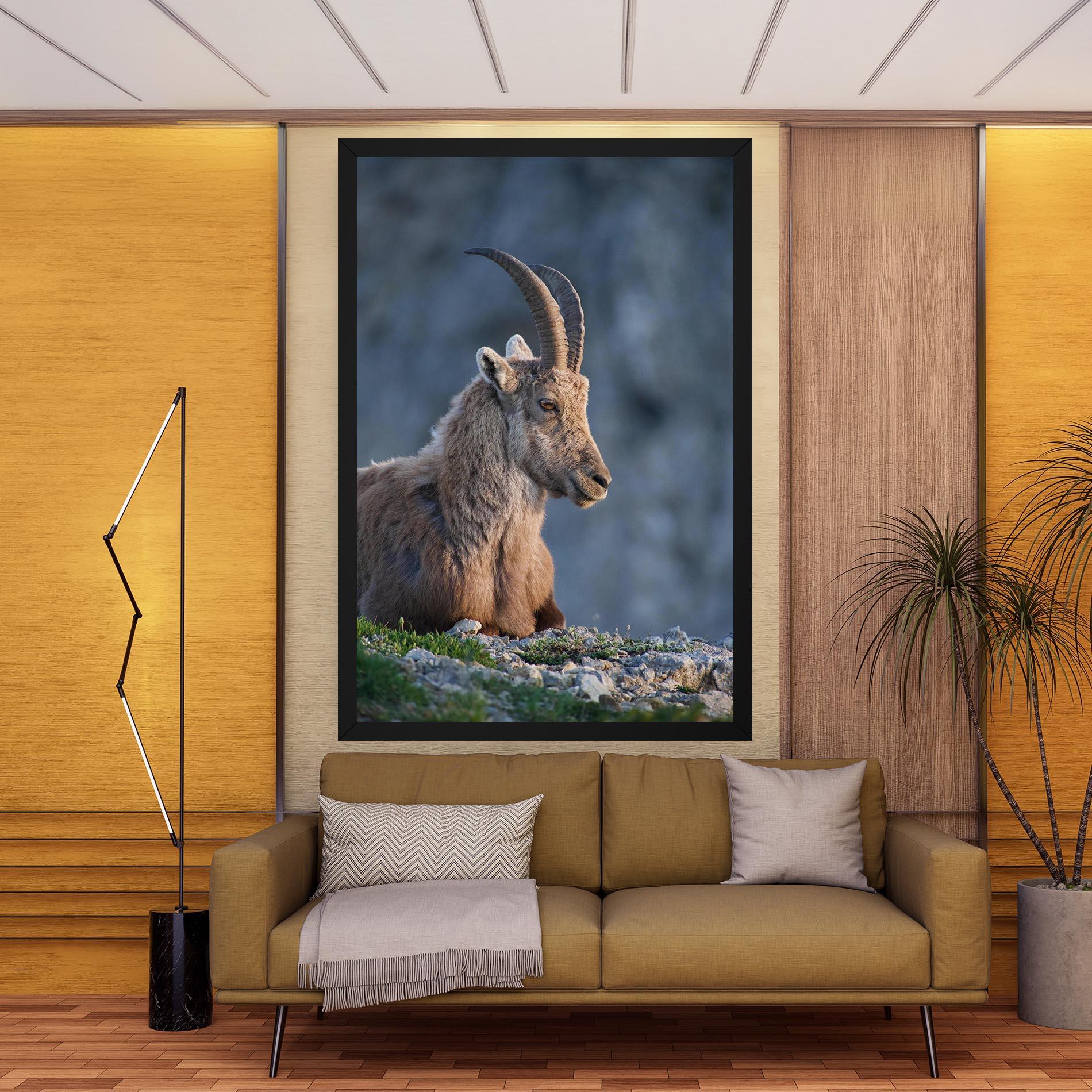 Картина на платно Mountain Goat mockup 9