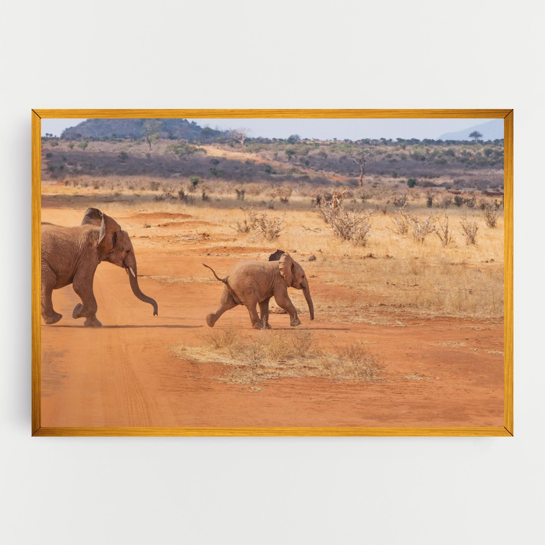 Desert Safari mockup 0