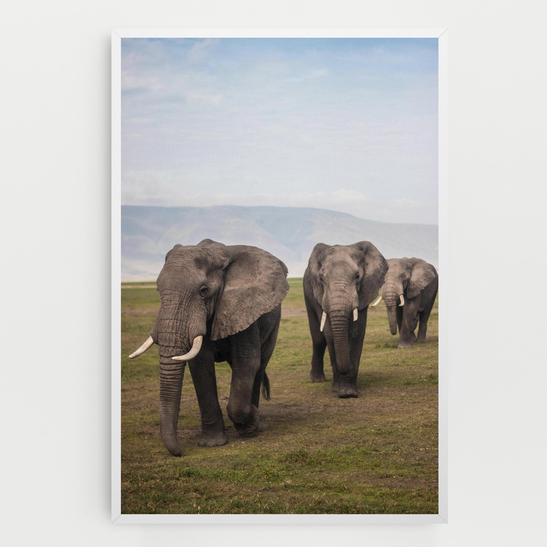 Картина на платно Elephant Landscape mockup 0