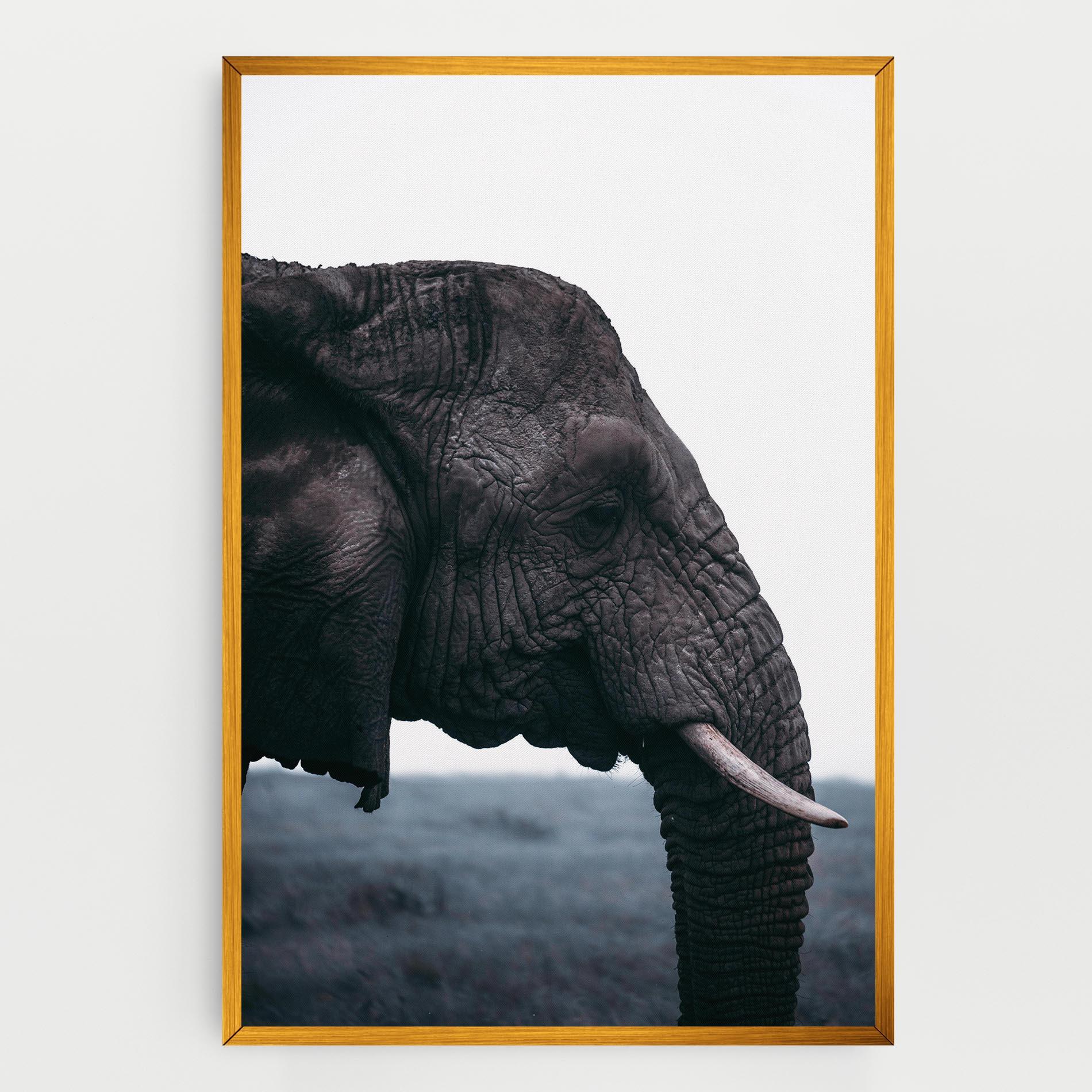 Картина на платно Close Grey Eelephant mockup 0