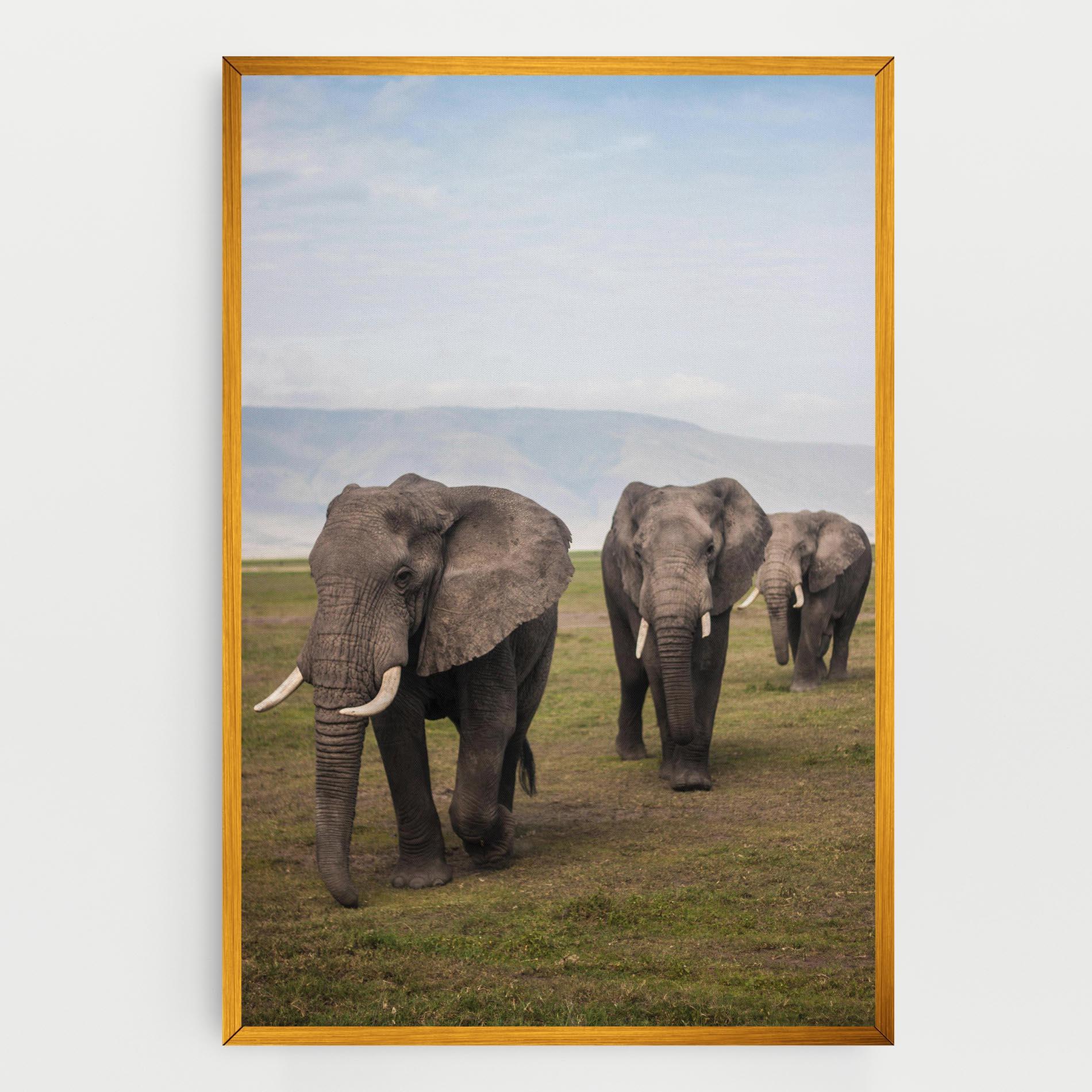 Картина на платно Elephant Landscape mockup 0