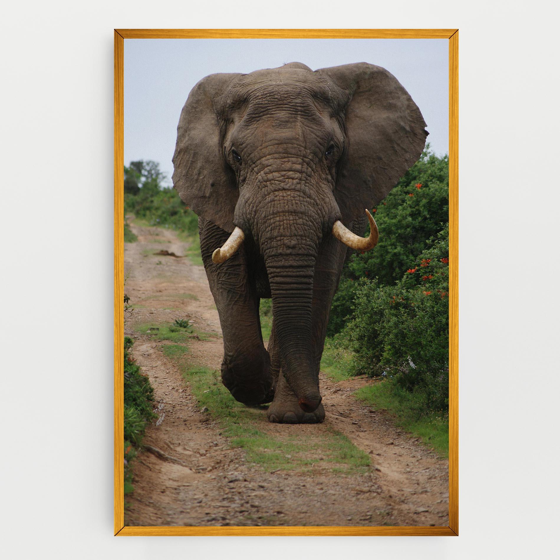 Картина на платно Elephant Safari mockup 0