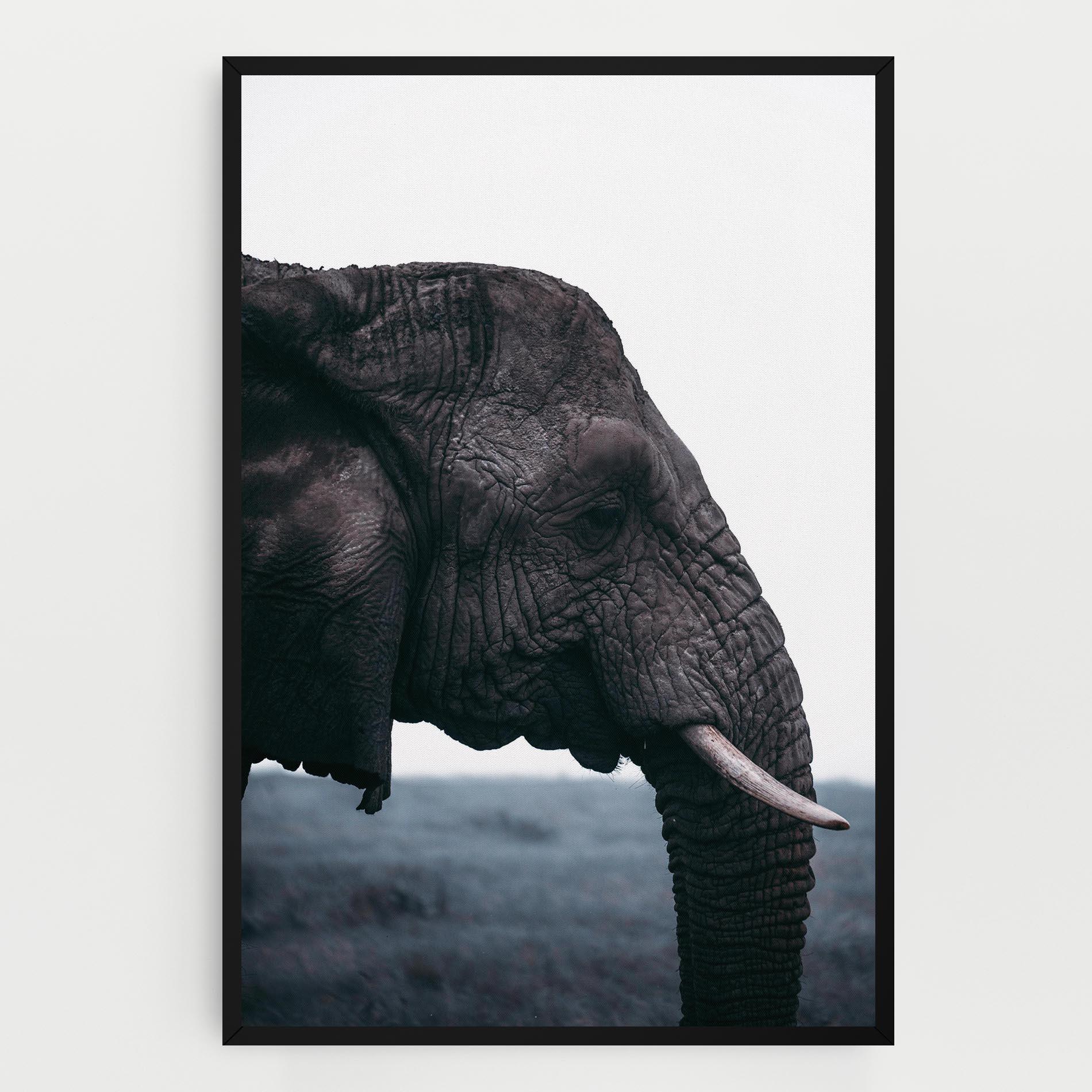 Картина на платно Close Grey Eelephant mockup 0