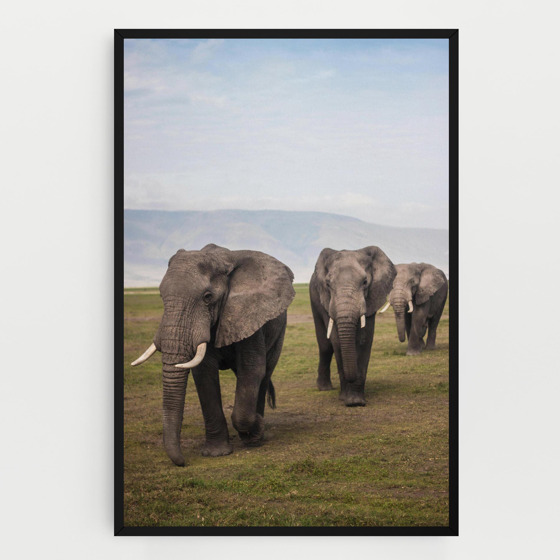 Картина на платно Elephant Landscape mockup 0