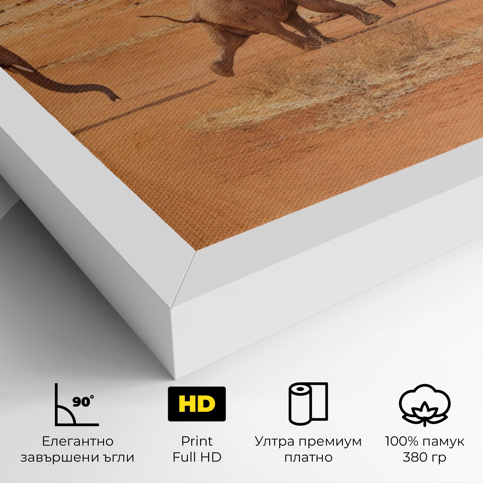 Desert Safari mockup 4