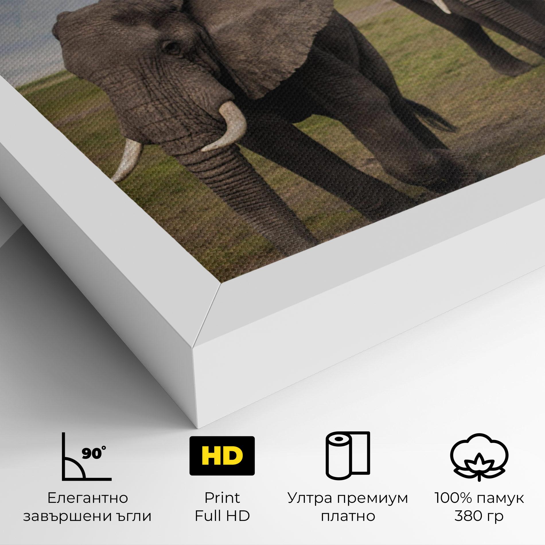 Картина на платно Elephant Landscape mockup 4