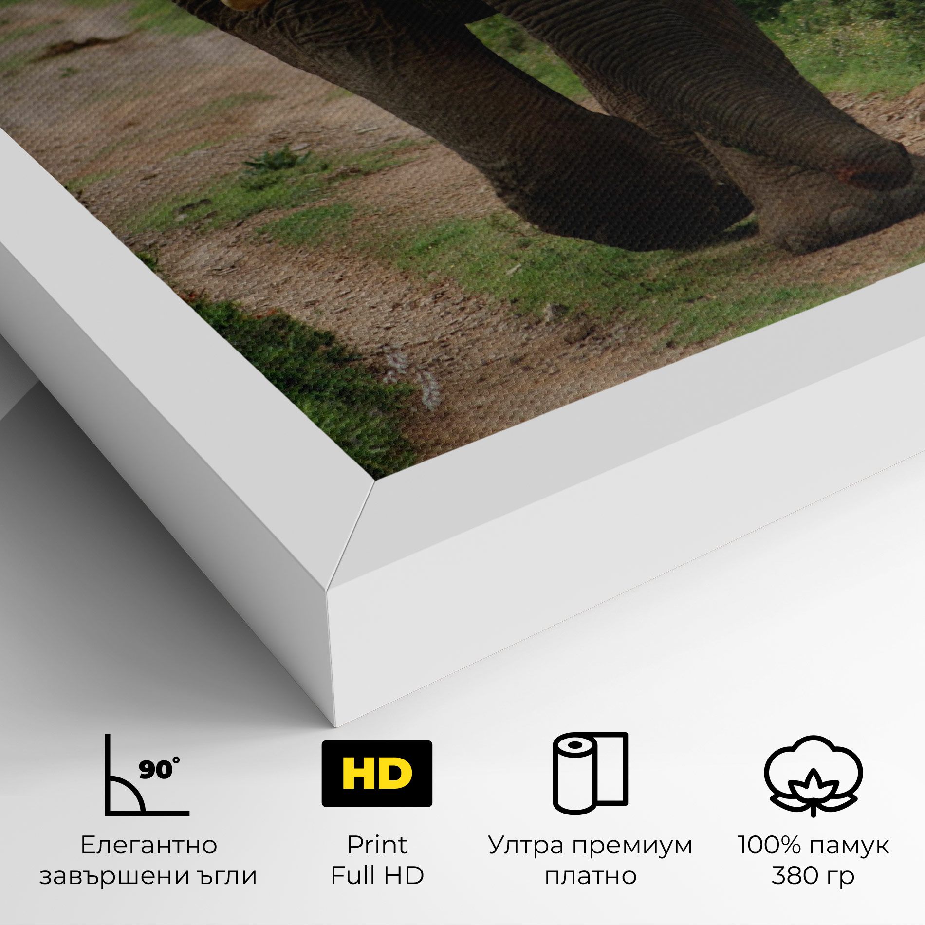 Elephant Safari mockup 4