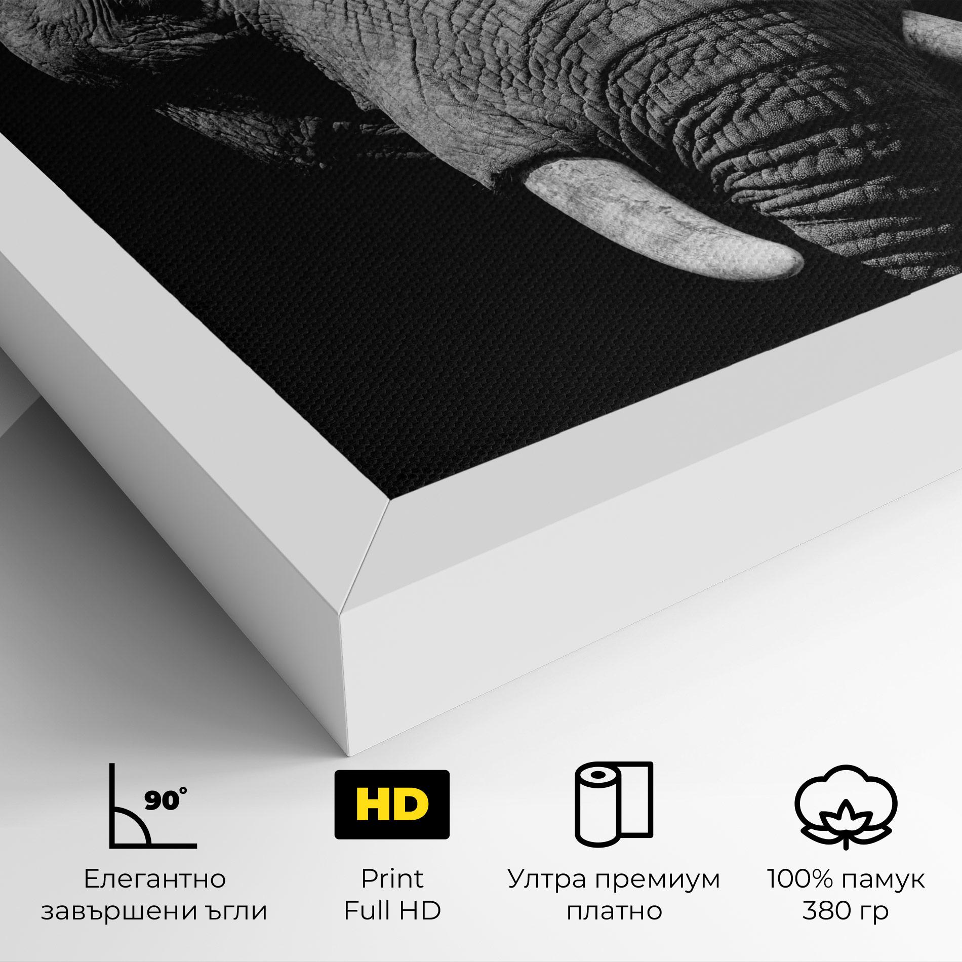 Картина на платно Shadow Elephant mockup 4