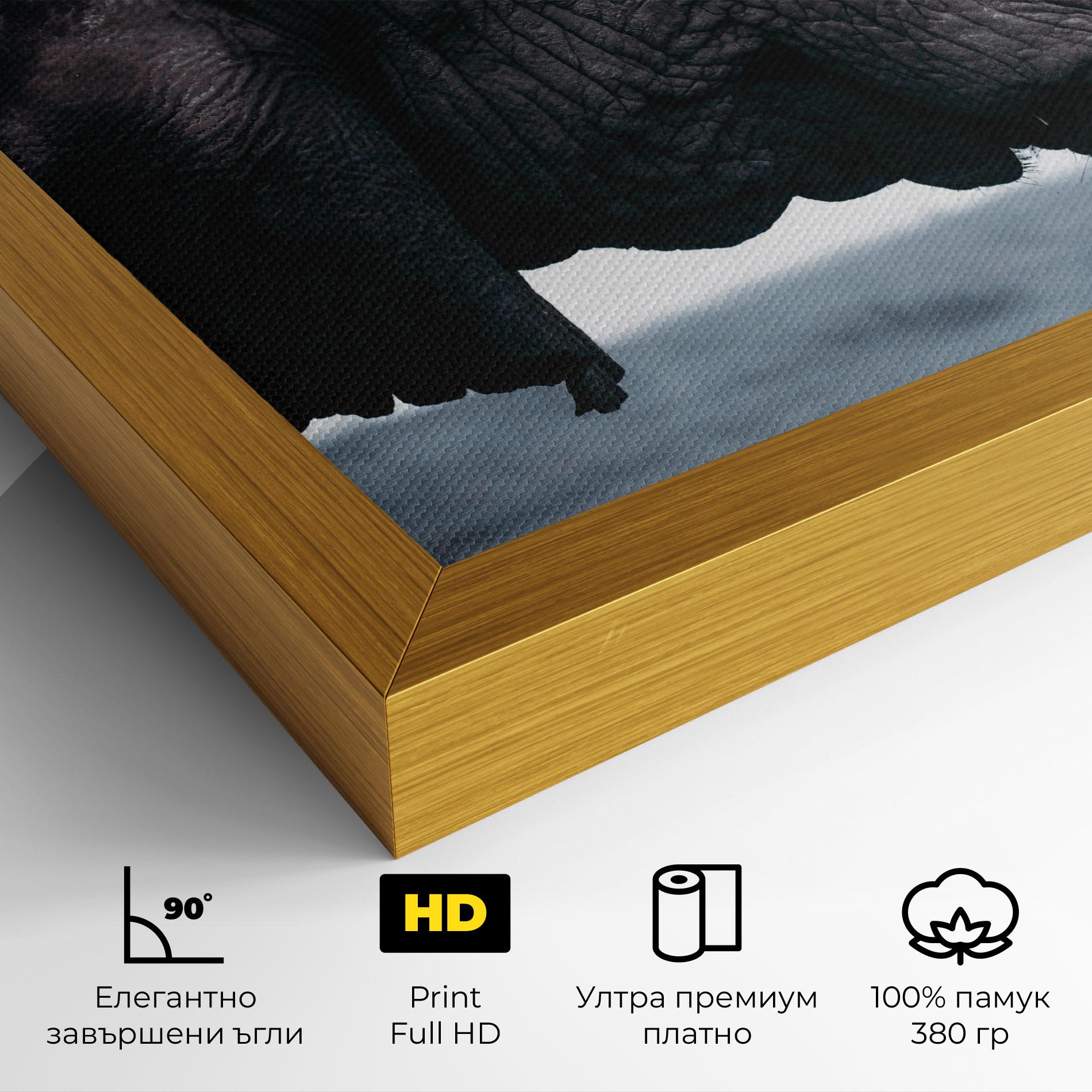 Картина на платно Close Grey Eelephant mockup 4