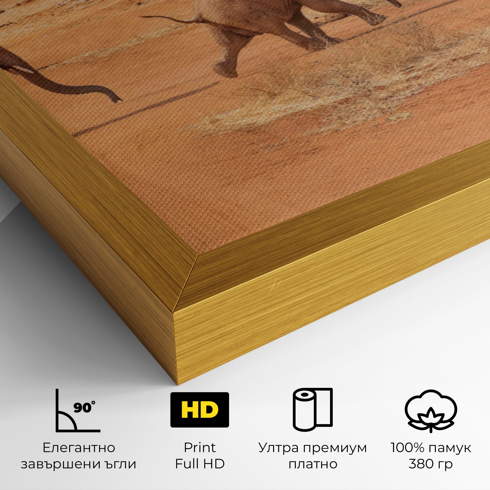 Desert Safari mockup 4