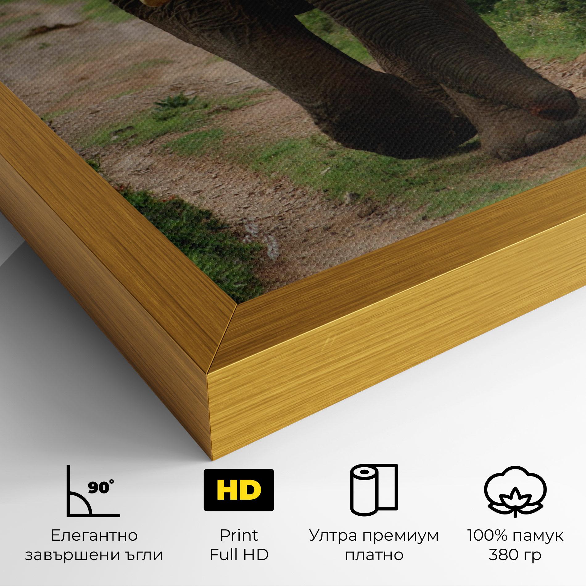 Картина на платно Elephant Safari mockup 4