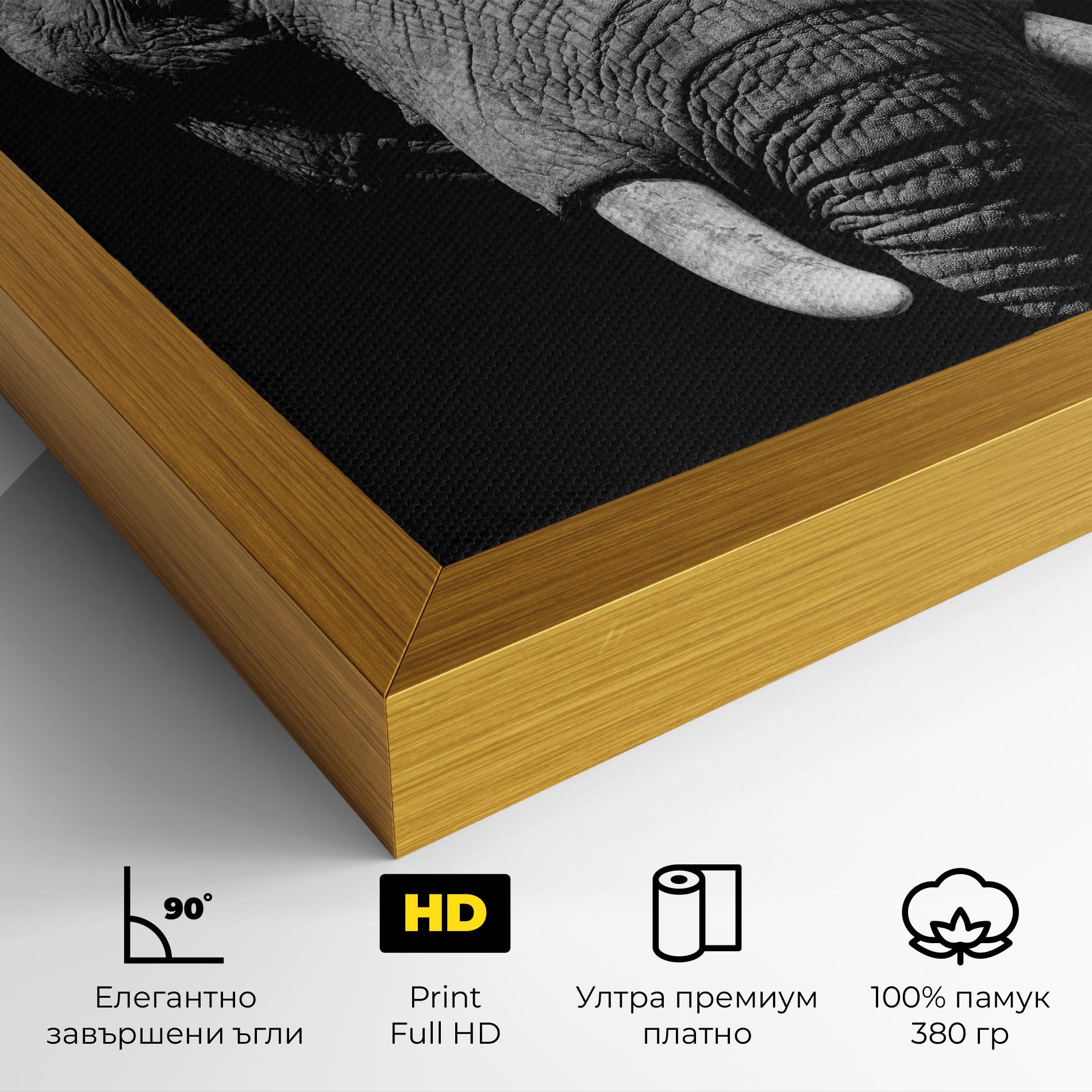 Картина на платно Shadow Elephant mockup 4