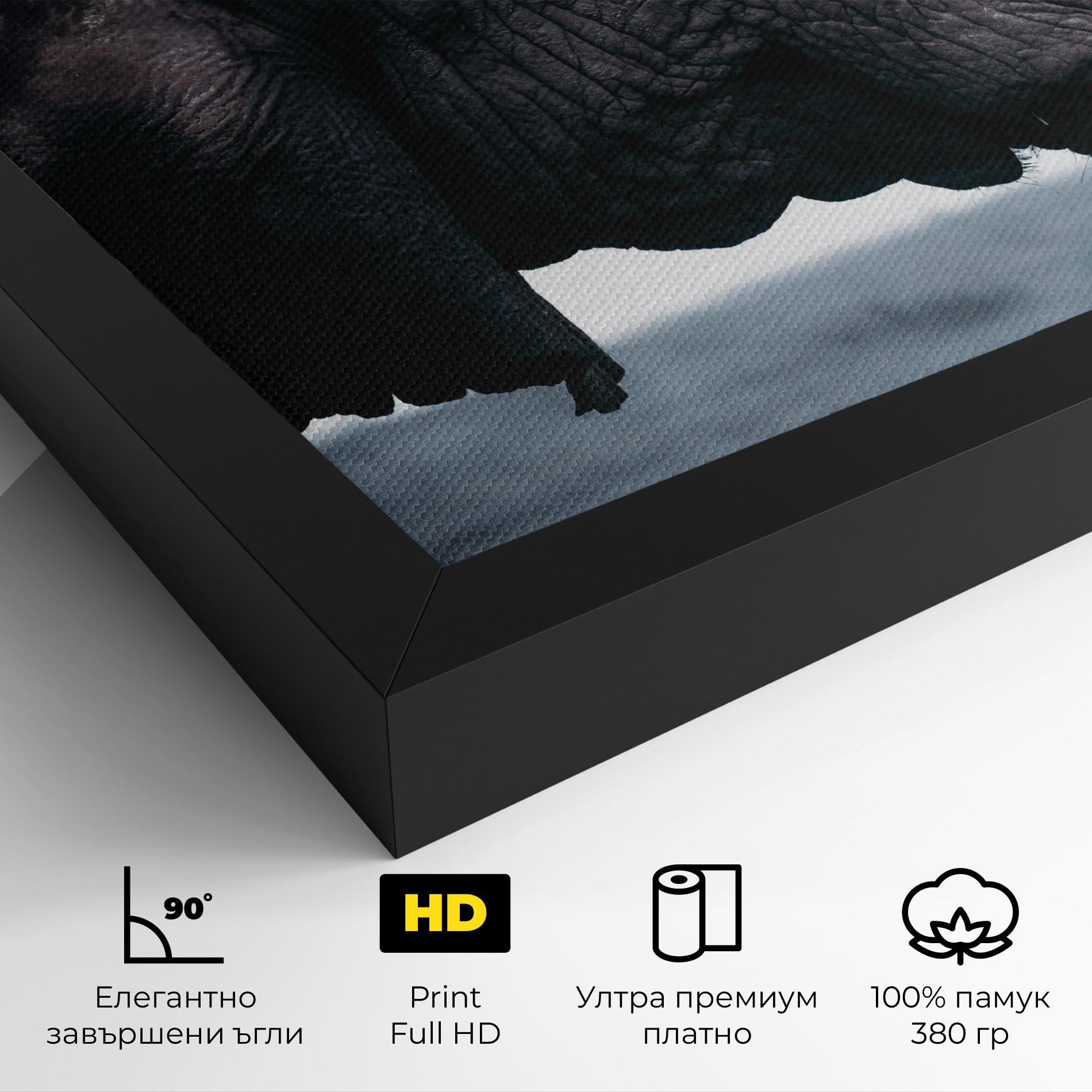 Картина на платно Close Grey Eelephant mockup 4