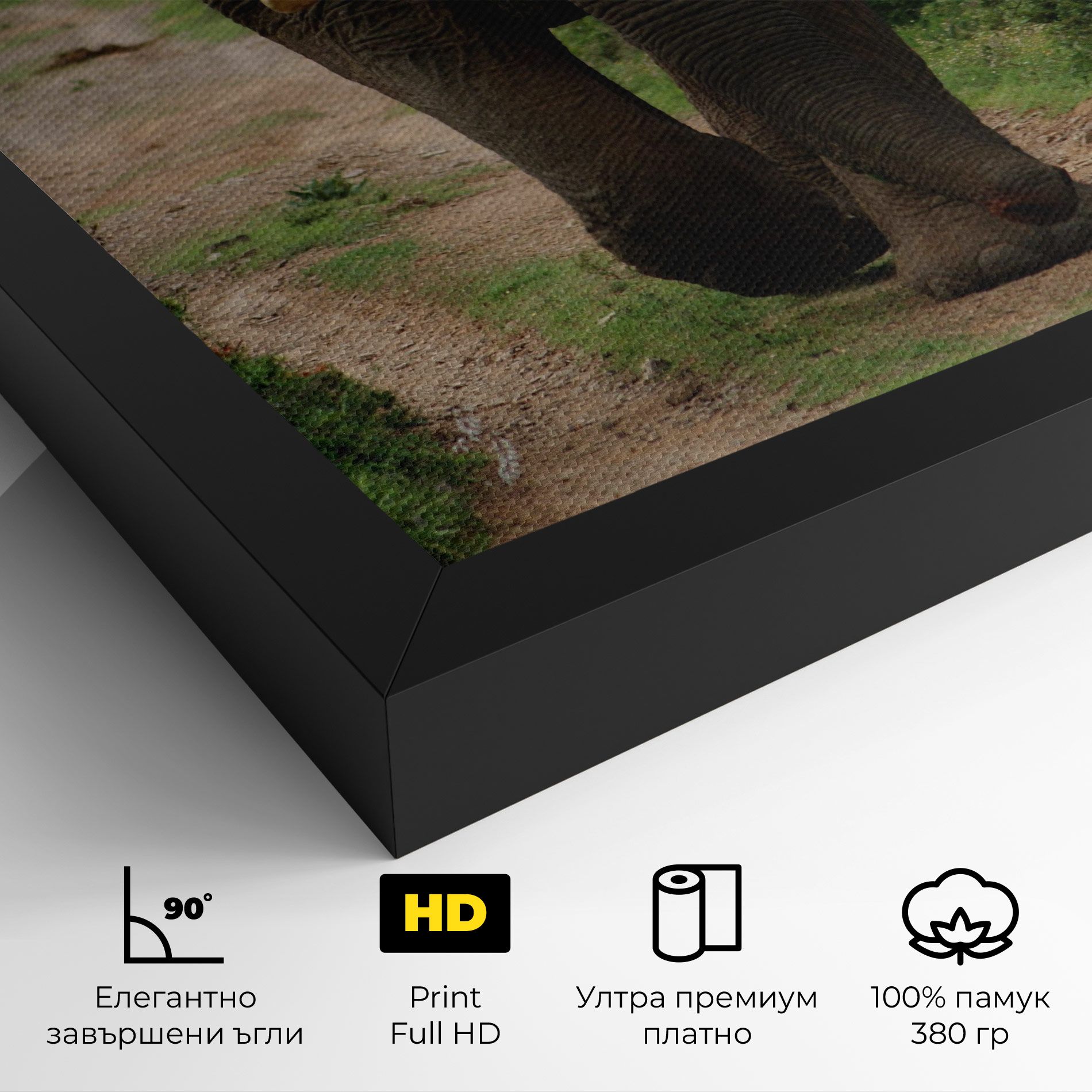 Elephant Safari mockup 4