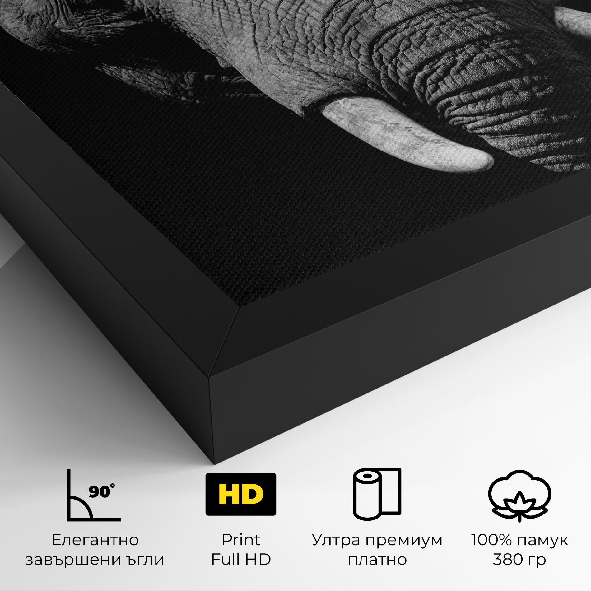 Картина на платно Shadow Elephant mockup 4