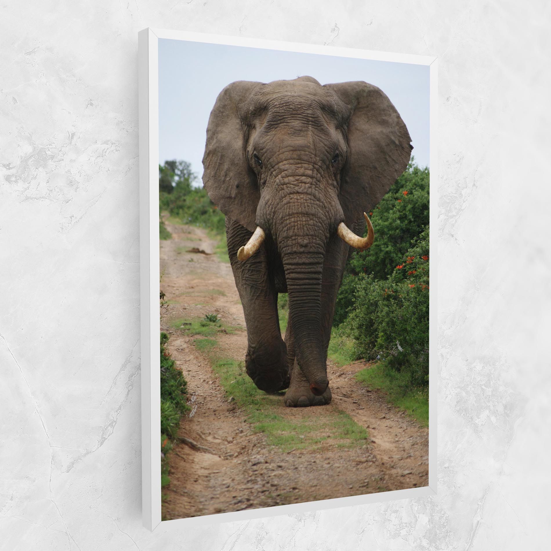 Elephant Safari mockup 1