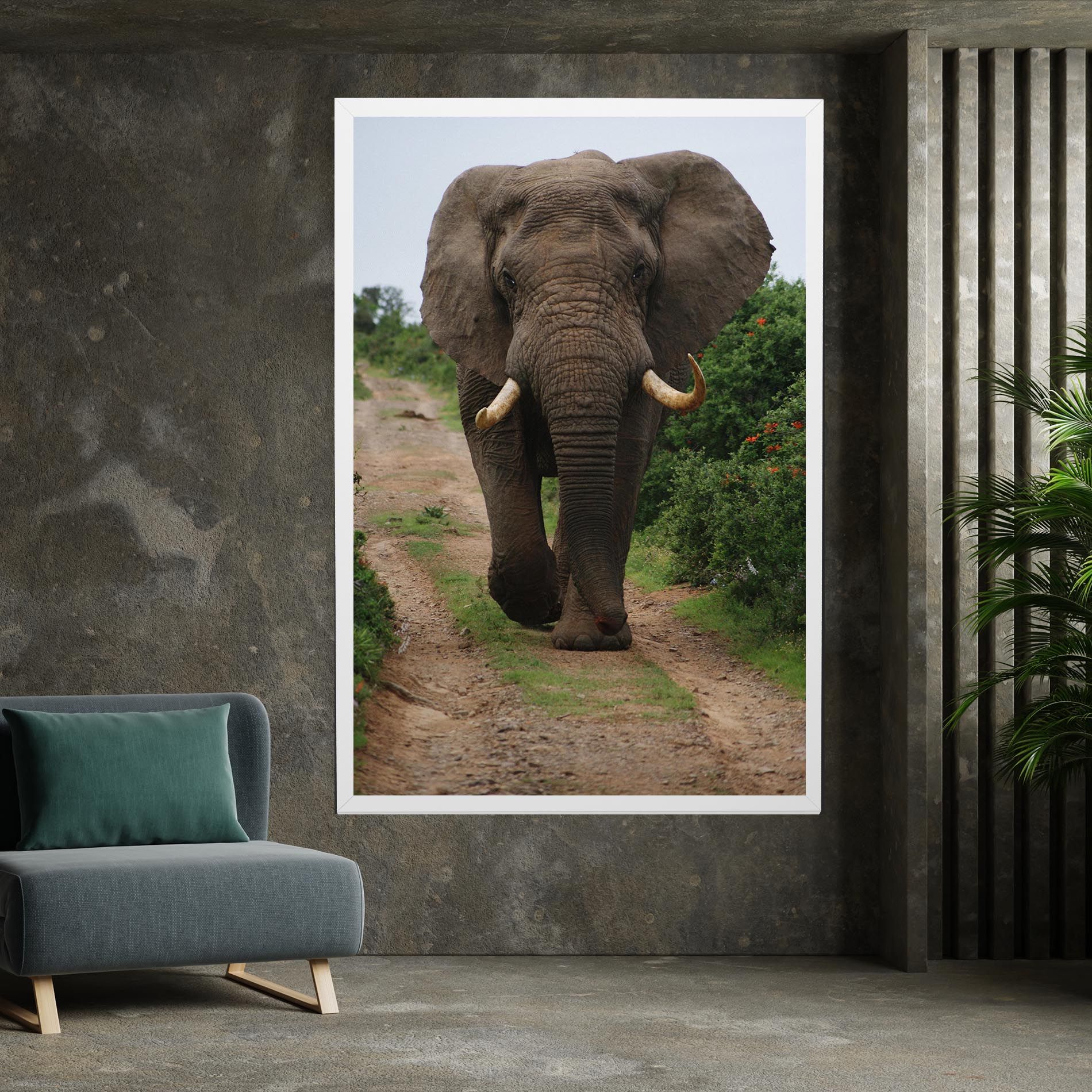 Elephant Safari mockup 7