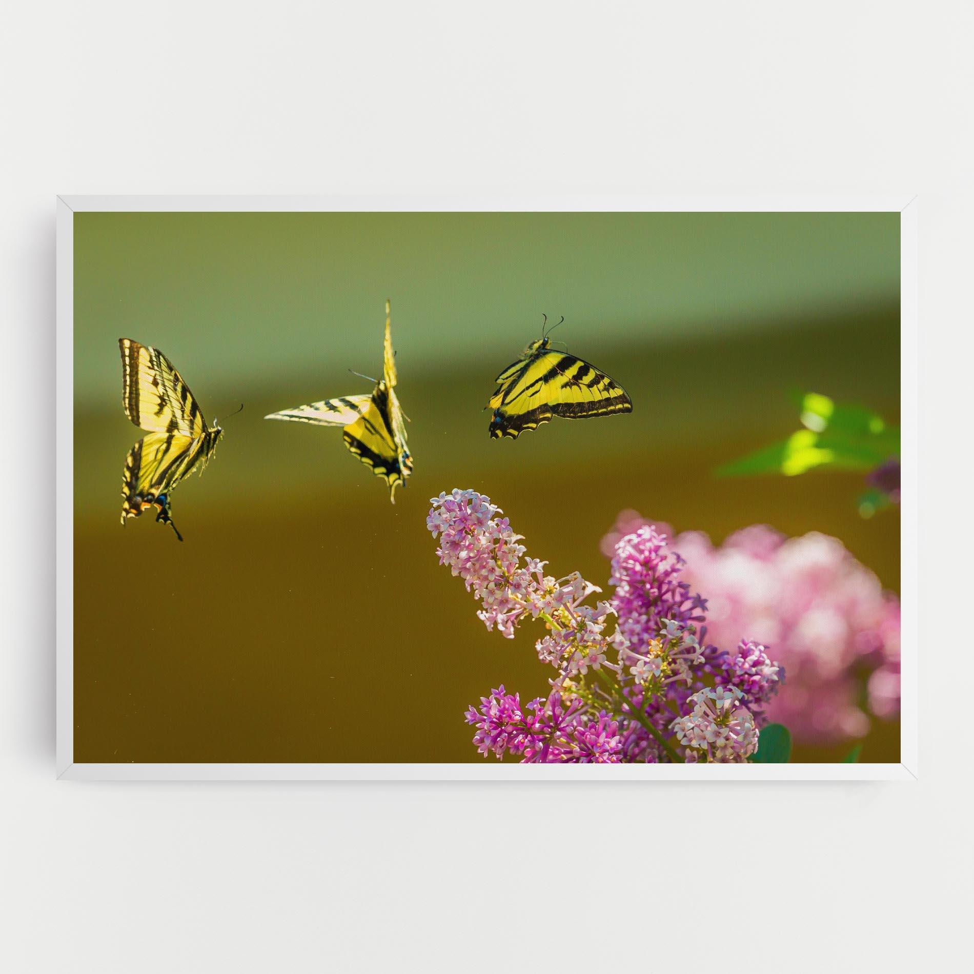 Картина на платно 3 Yellow Butterflies mockup 0