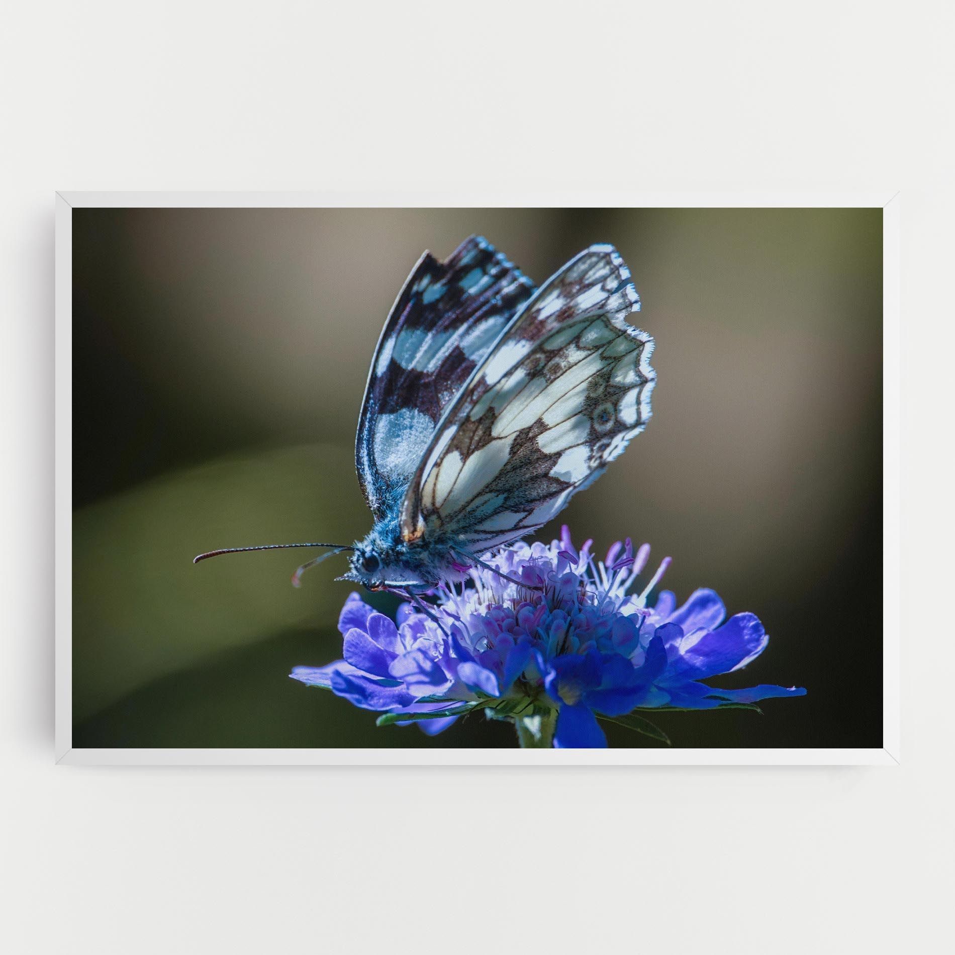Blue Butterfly In Nature mockup 0