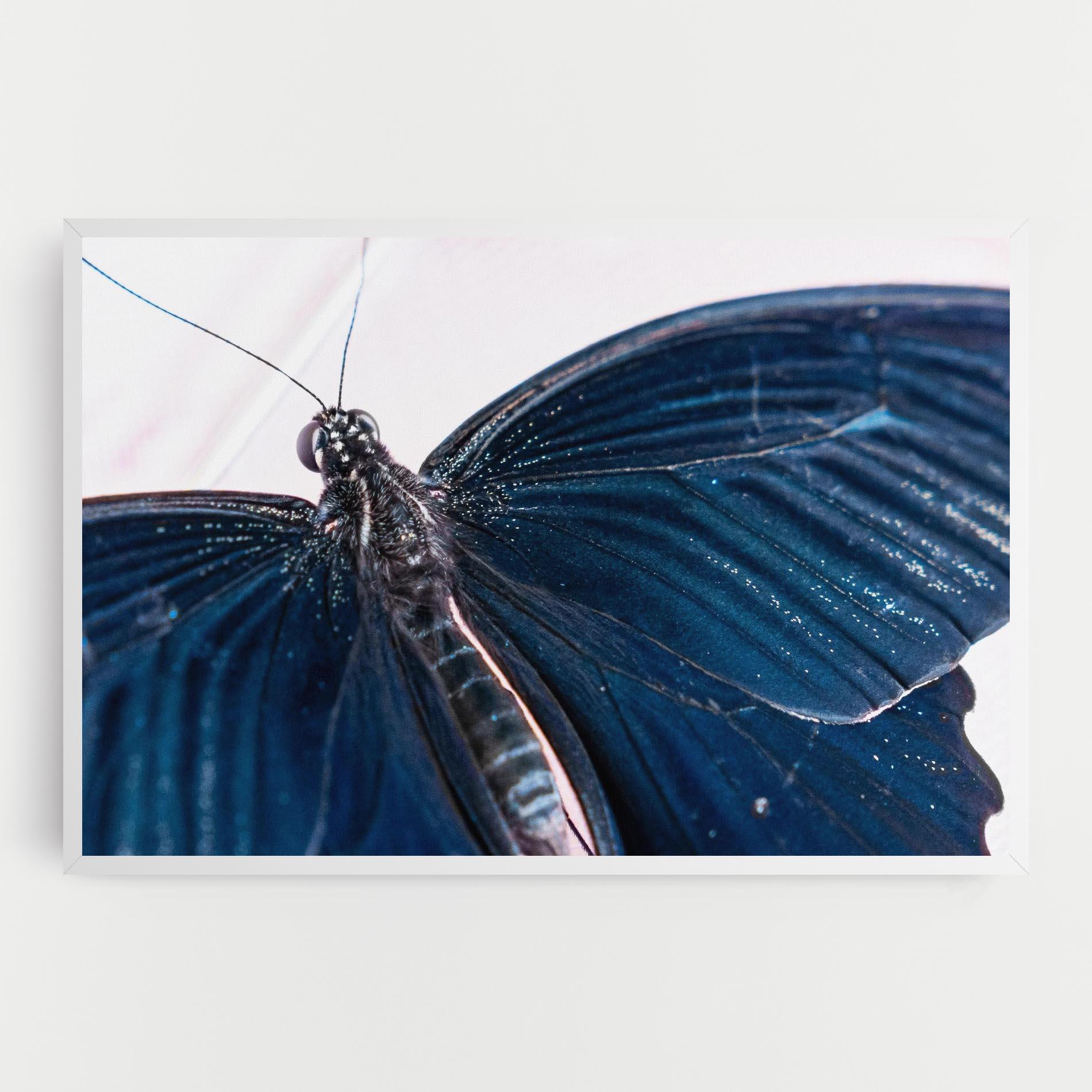 Картина на платно Blue Butterfly mockup 0