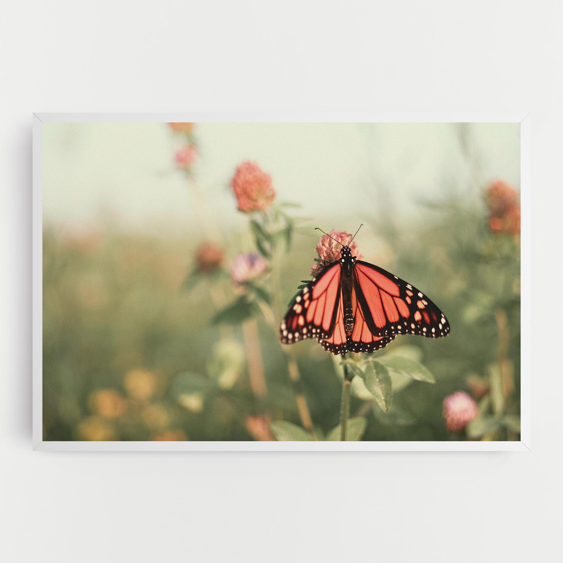 Картина на платно Light Red Butterfly mockup 0