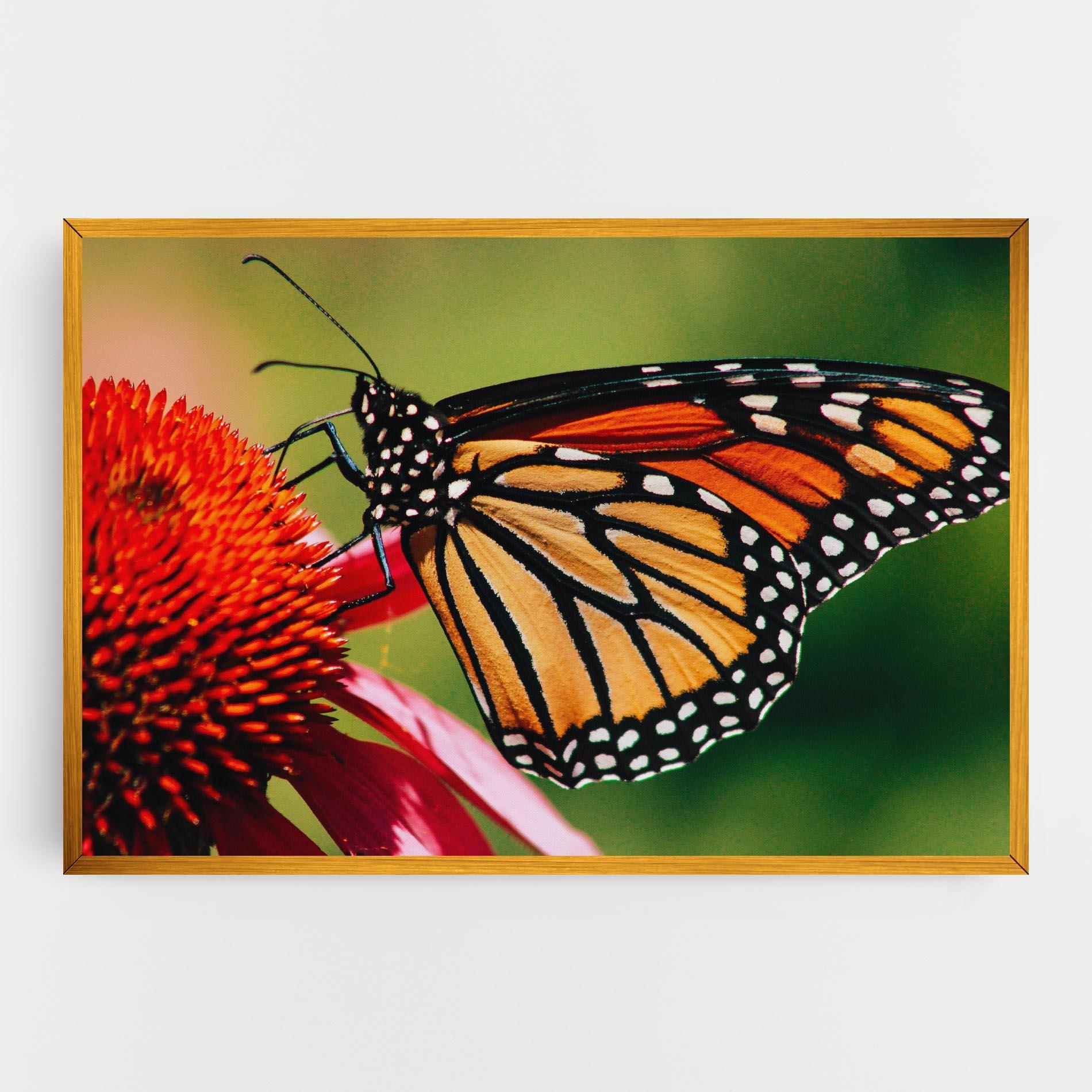 Картина на платно Big Orange Butterfly mockup 0