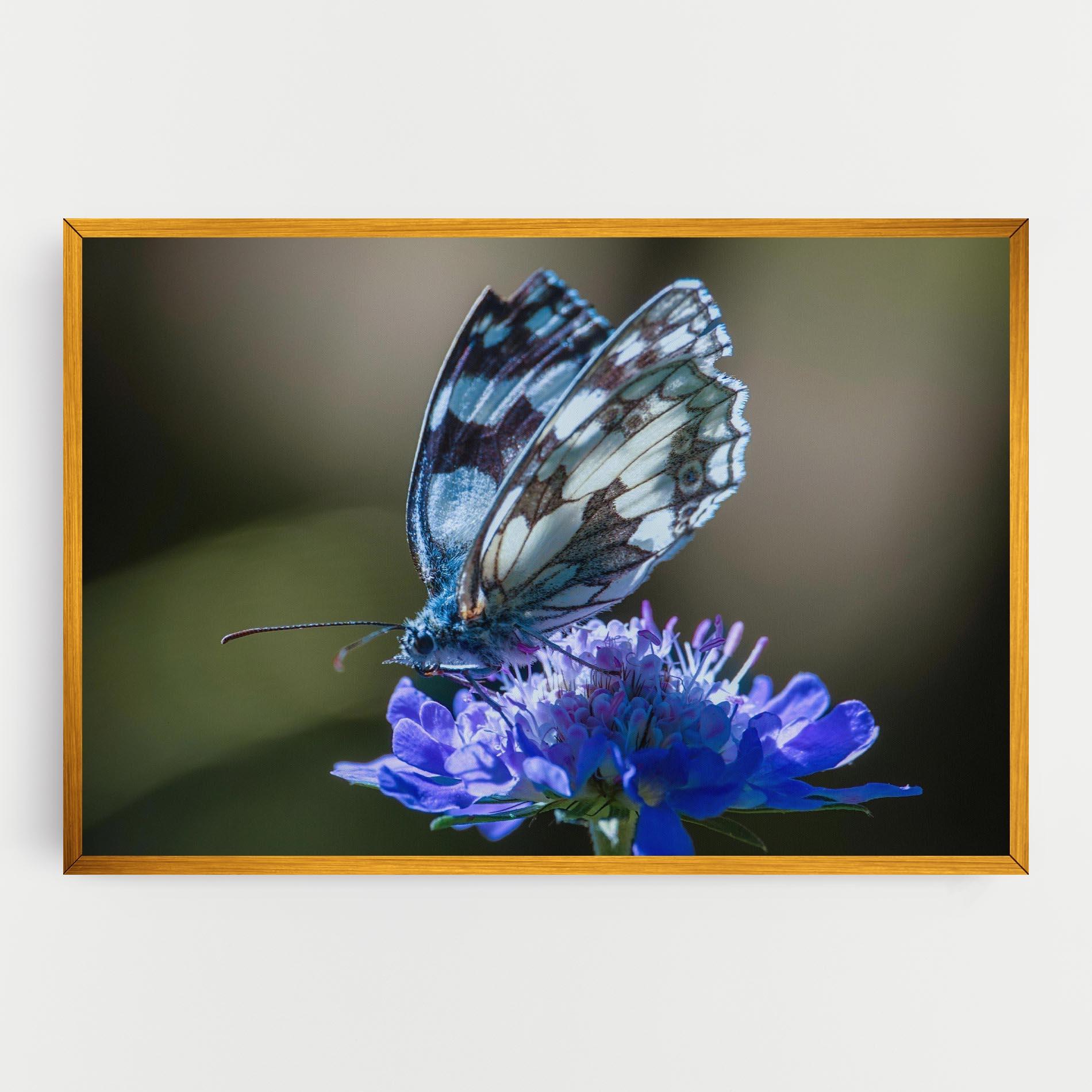 Картина на платно Blue Butterfly In Nature mockup 0
