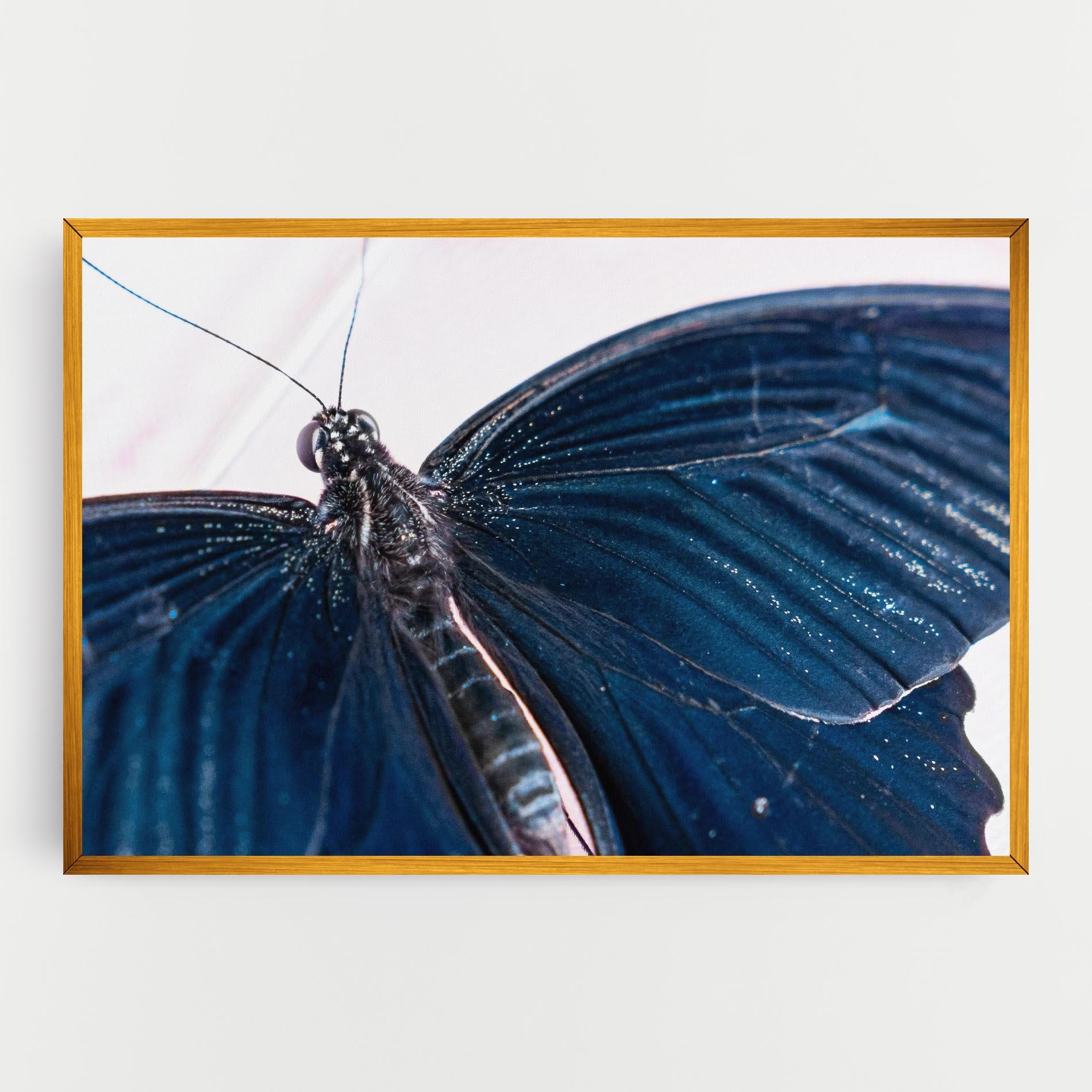 Картина на платно Blue Butterfly mockup 0