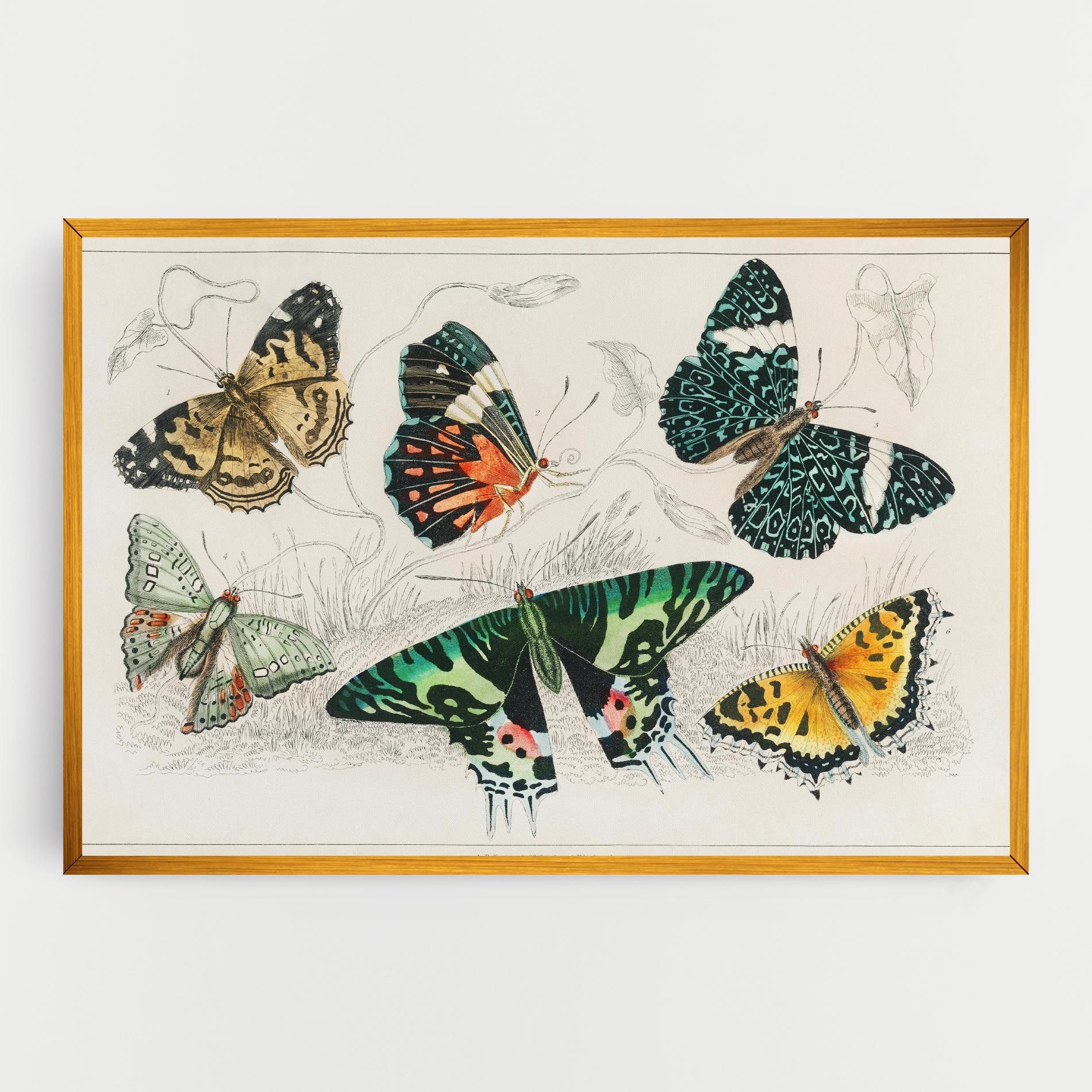 Butterfly Art mockup 0