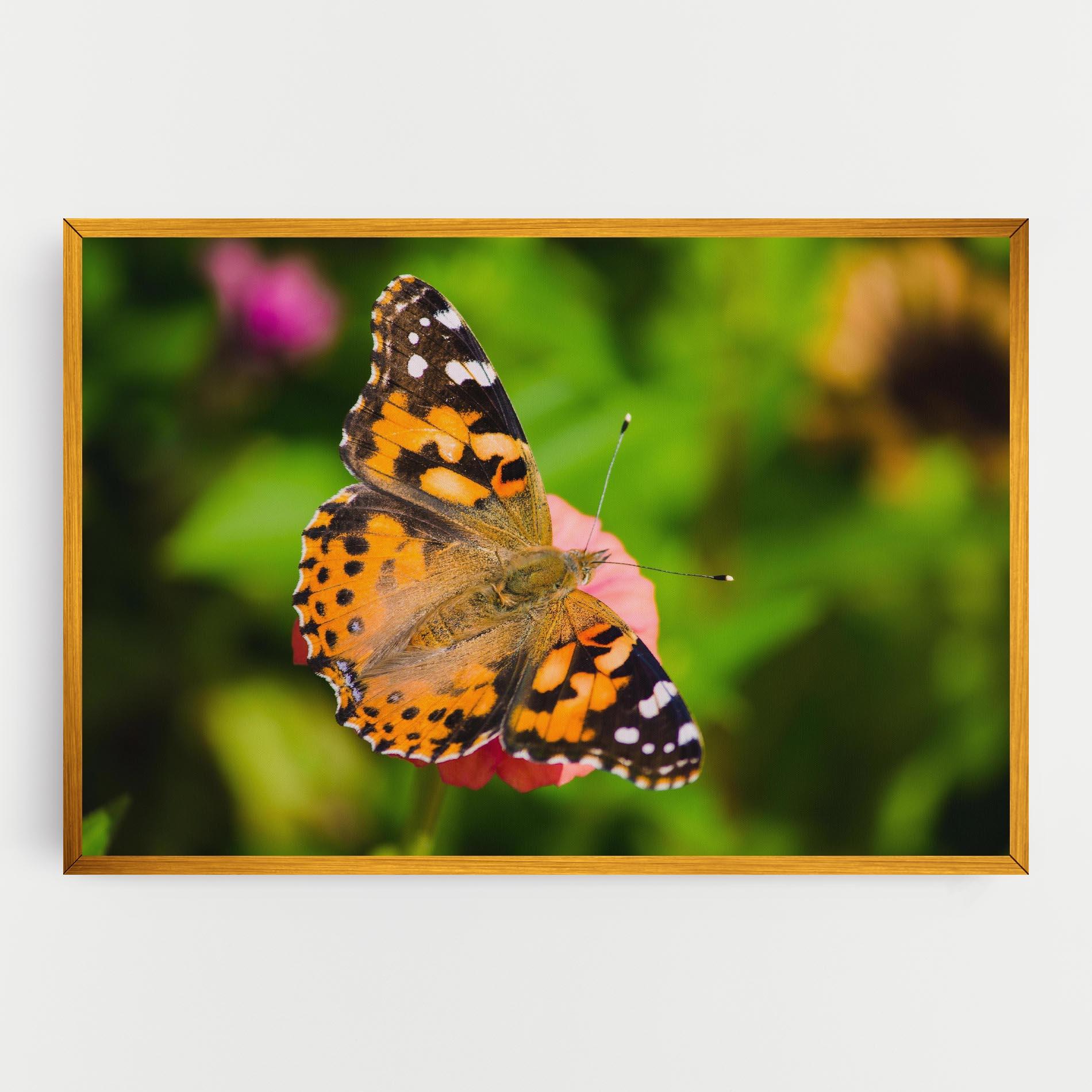Картина на платно Butterfly On Flower mockup 0