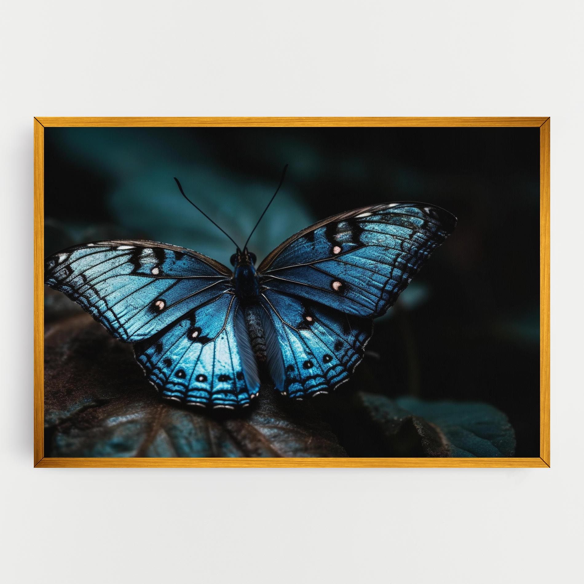 Dark Blue Buterfly mockup 0