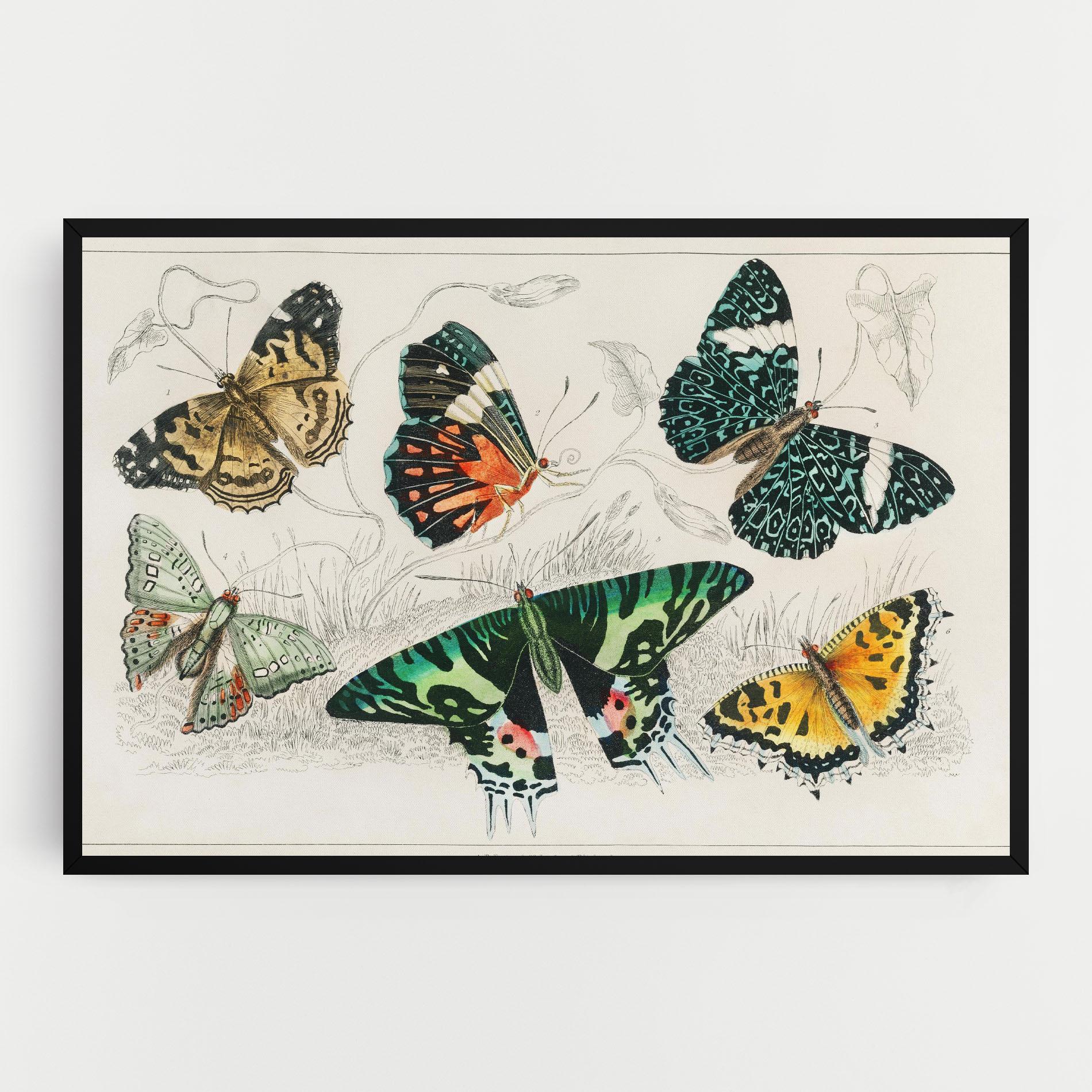Картина на платно Butterfly Art mockup 0