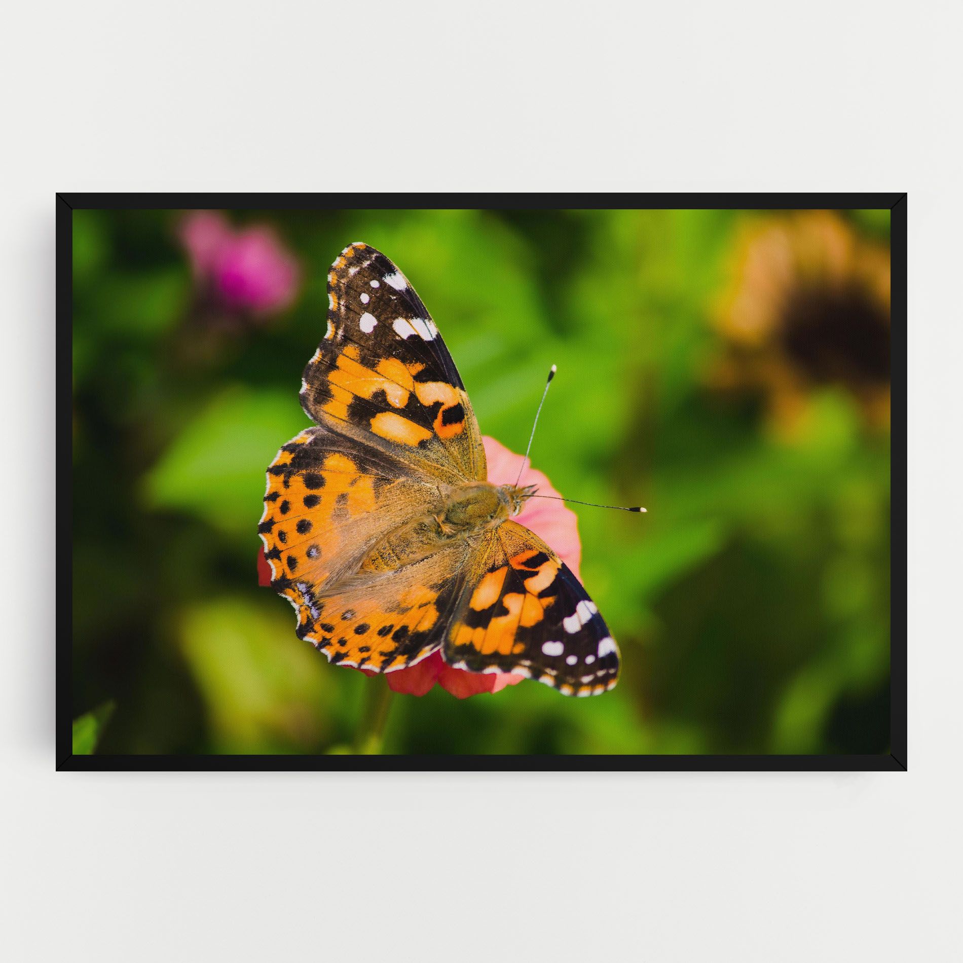 Butterfly On Flower mockup 0