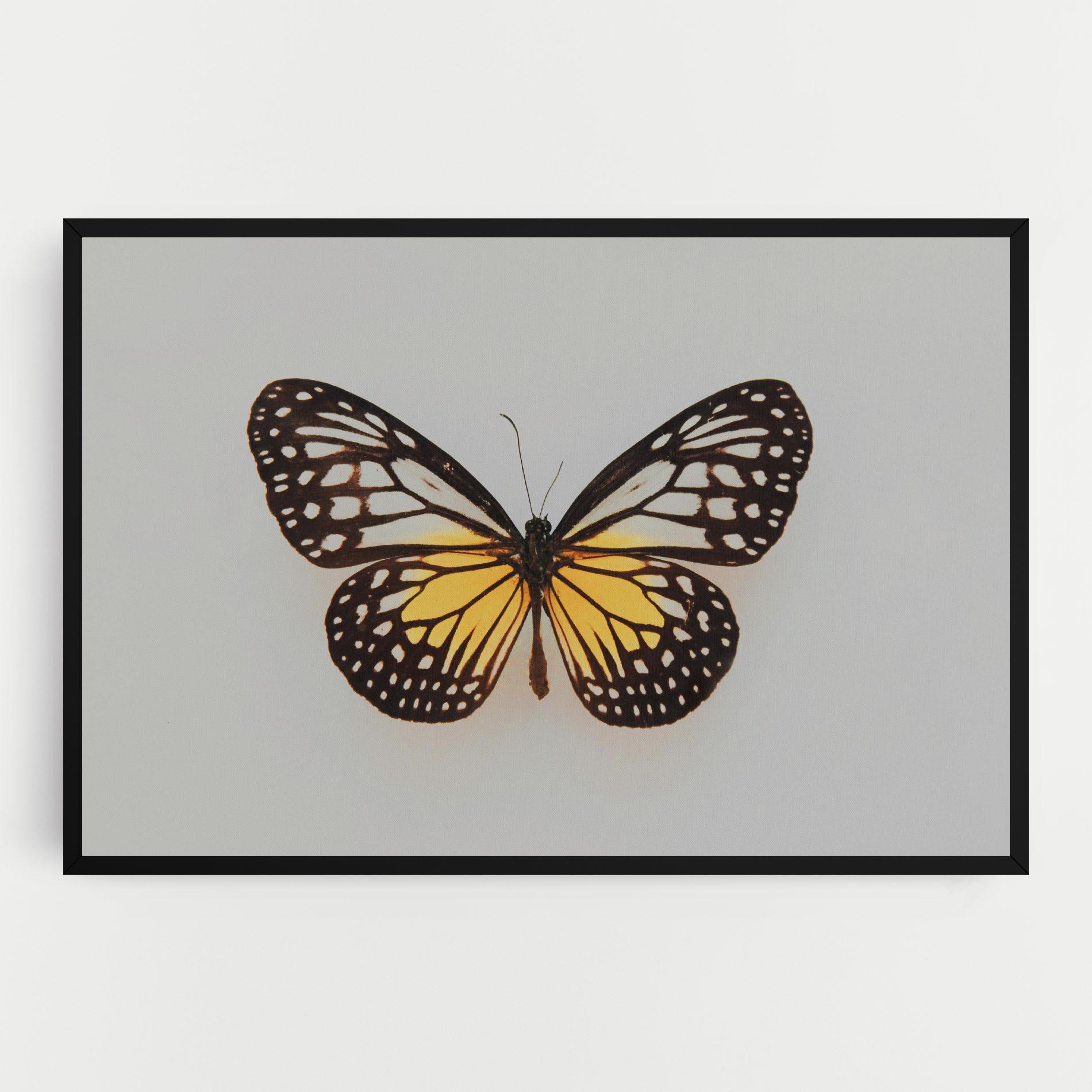 Картина на платно Butterfly On Grey mockup 0