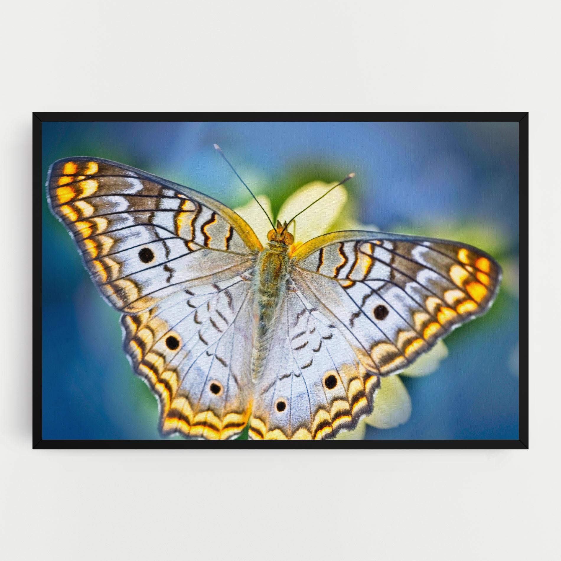 Картина на платно Yellow Grey Butterfly mockup 0