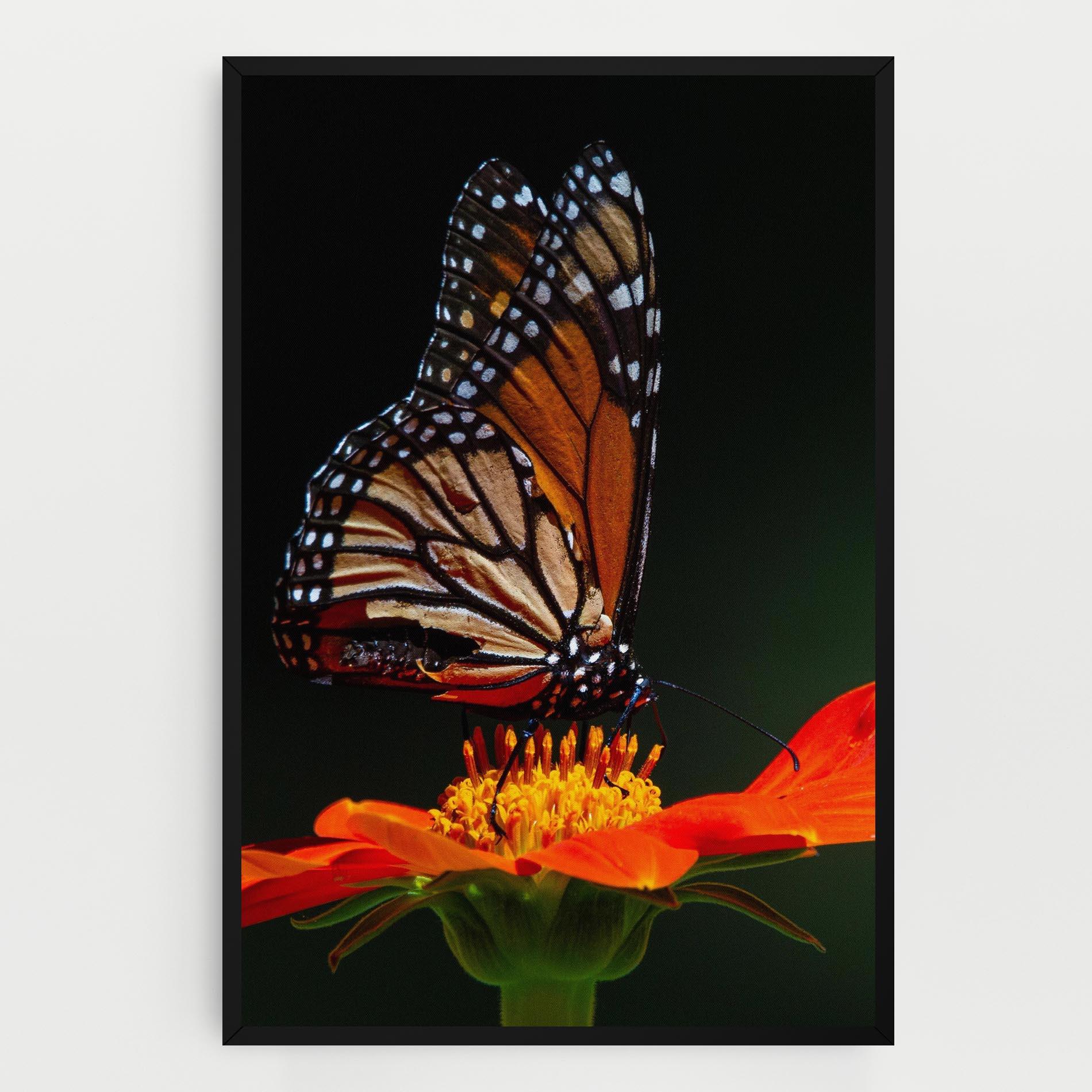 Картина на платно Dark Orange Butterfy mockup 0