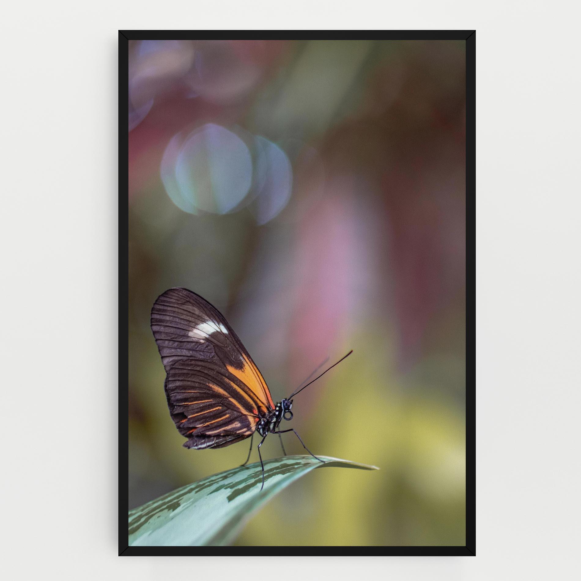 Картина на платно Dark Purple Butterfly mockup 0