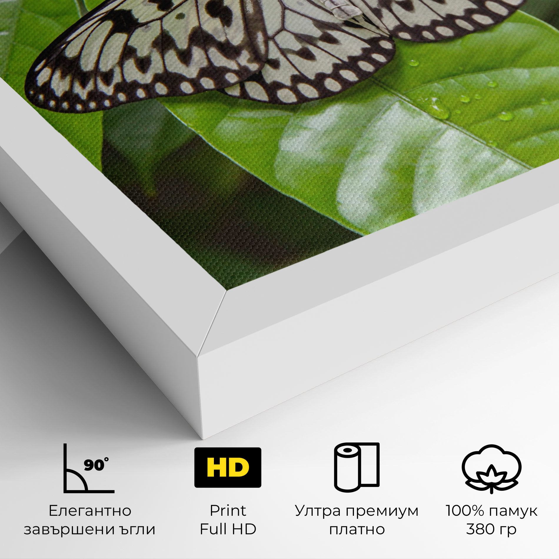 Beautiful White Butterfly mockup 4