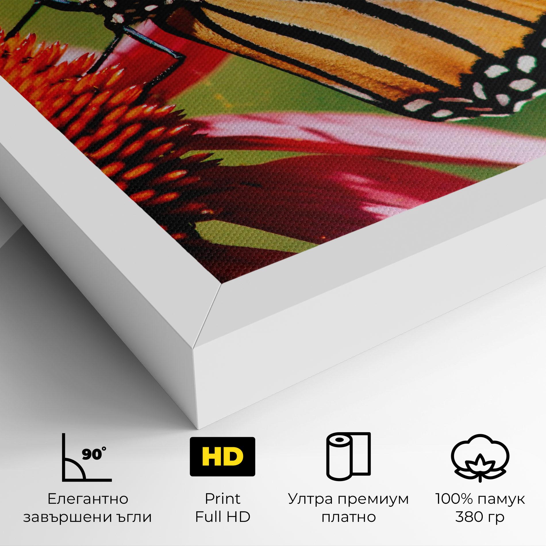Картина на платно Big Orange Butterfly mockup 4