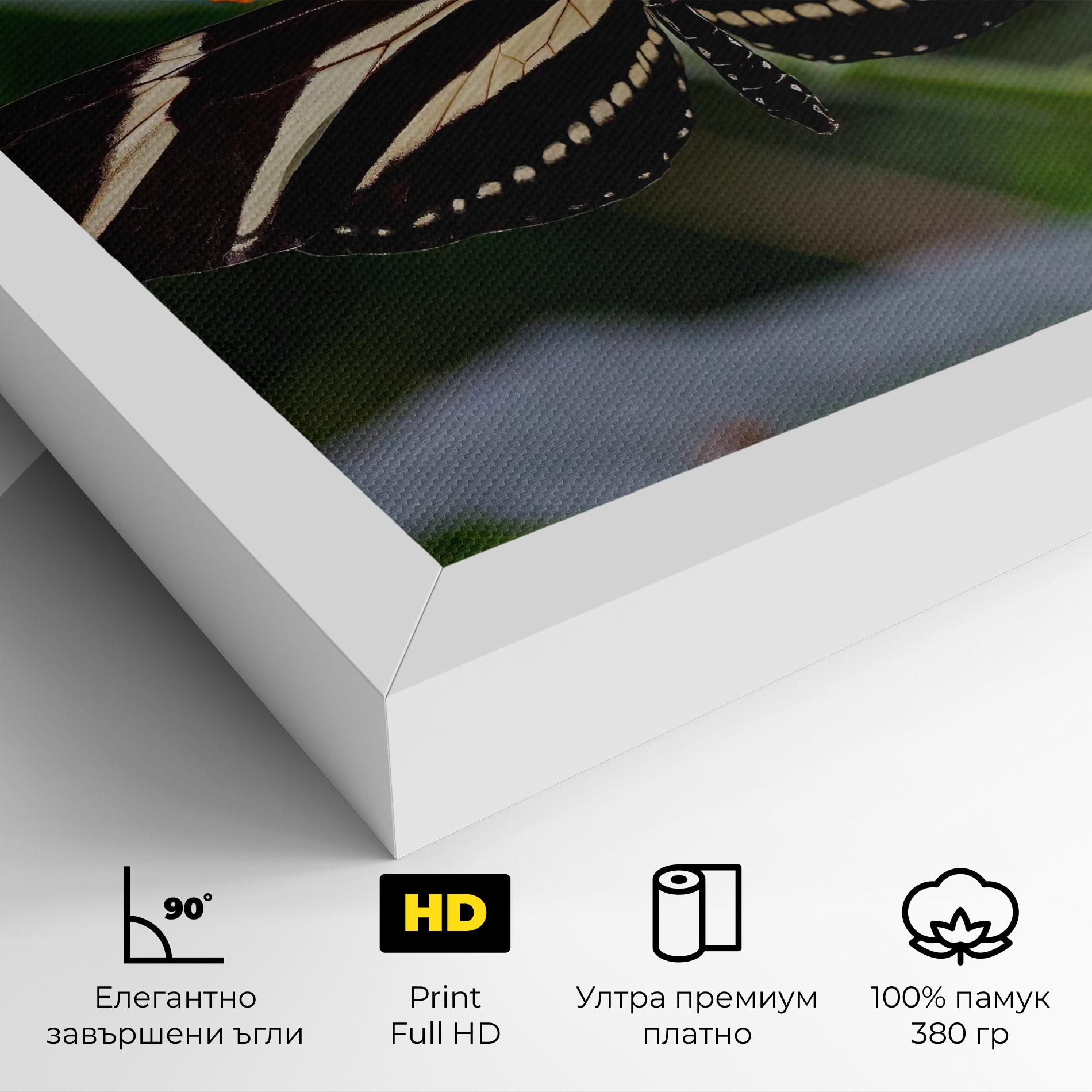 Картина на платно Big Wings Butterfly mockup 4