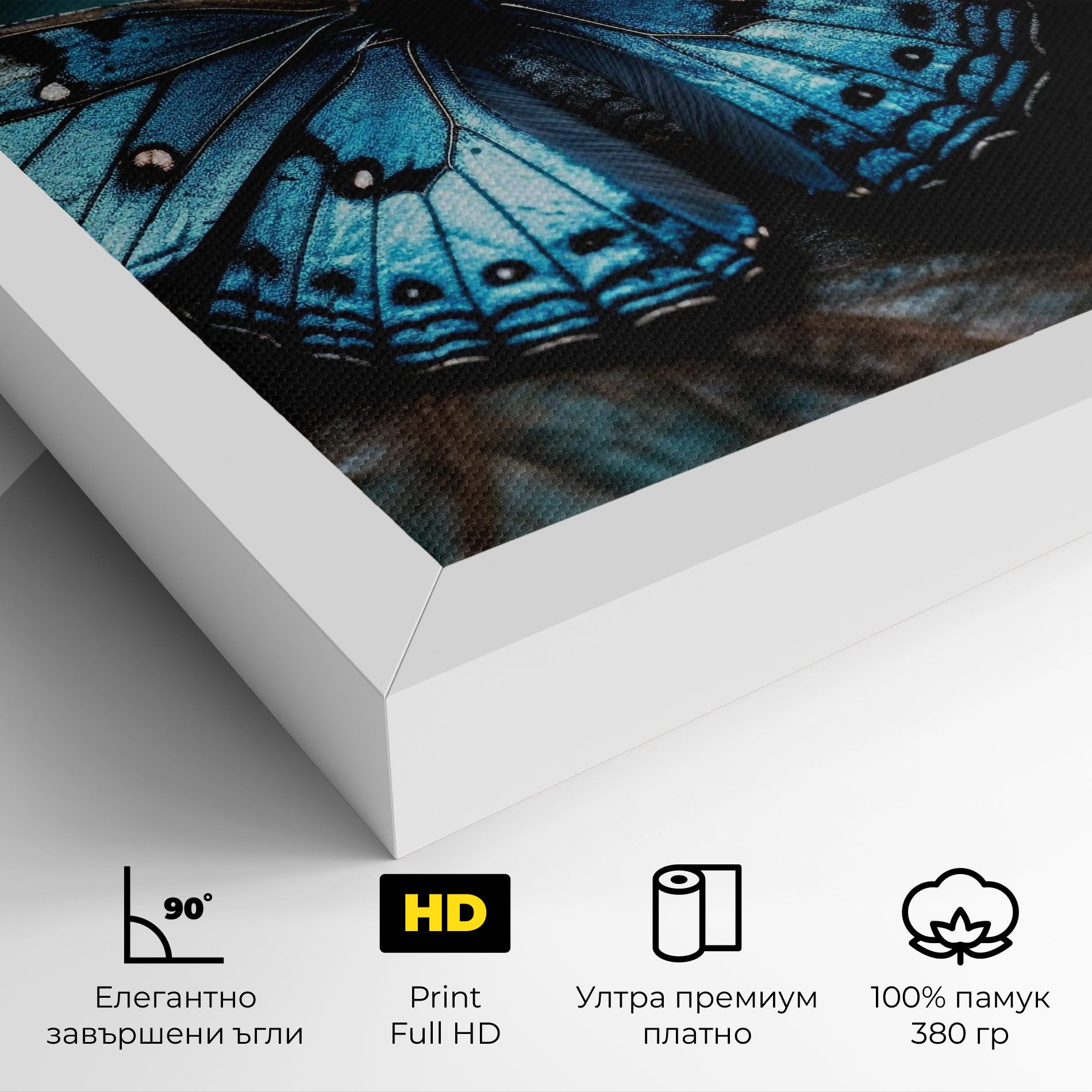 Dark Blue Buterfly mockup 4