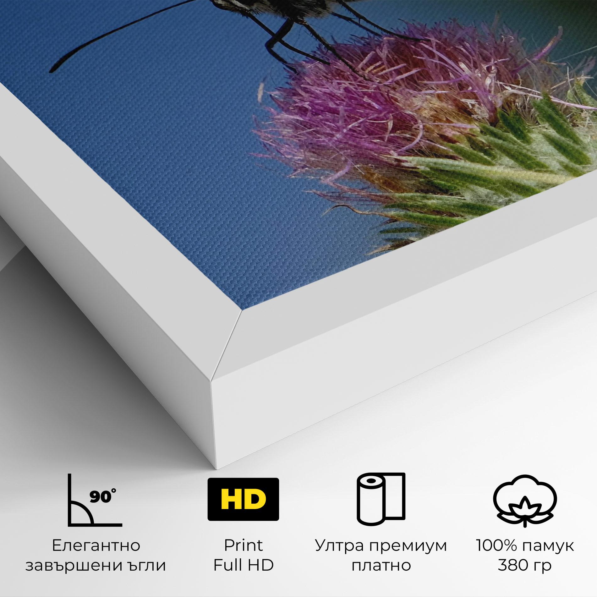 Картина на платно Grey White Butterfly mockup 4