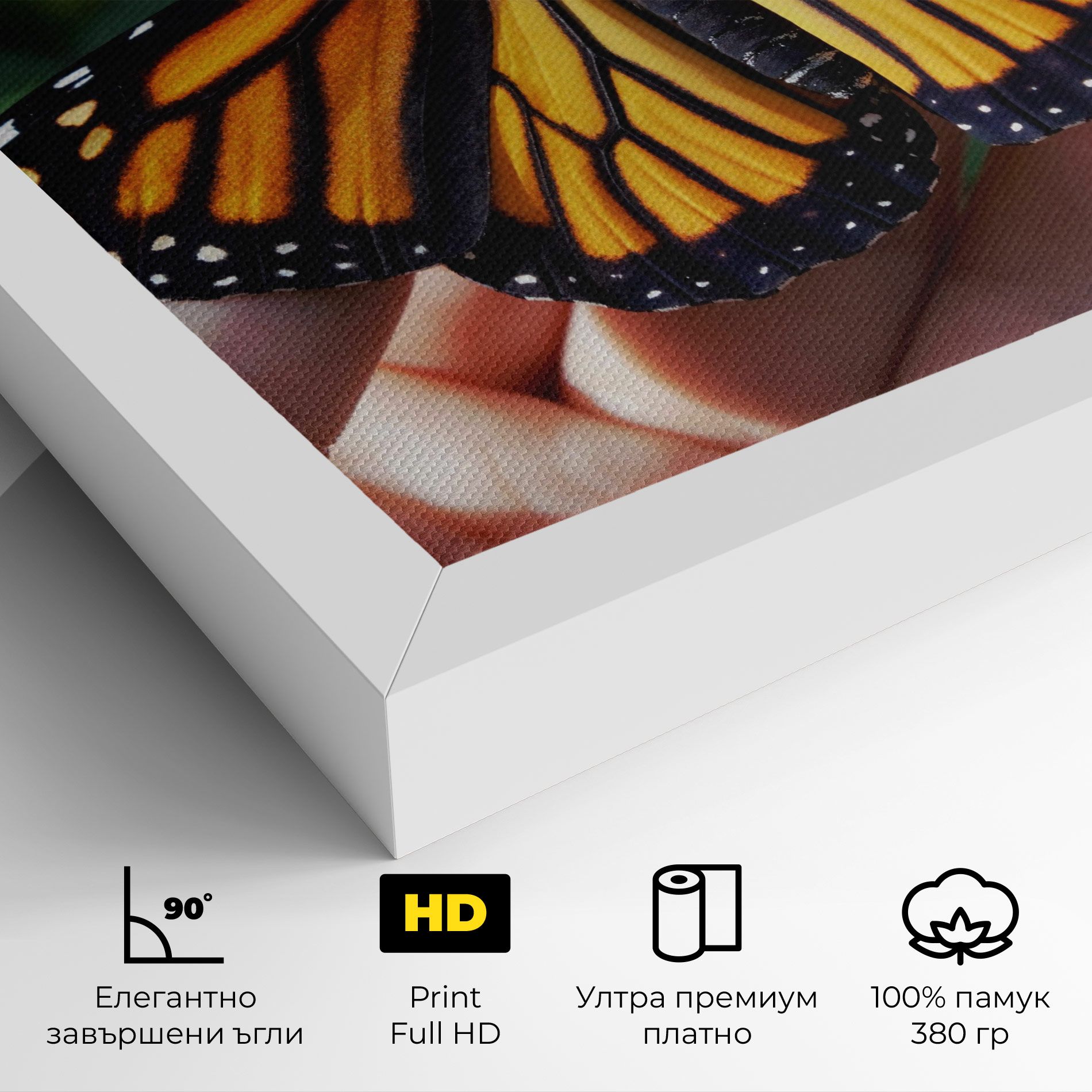 Open Orange Butterfly mockup 4