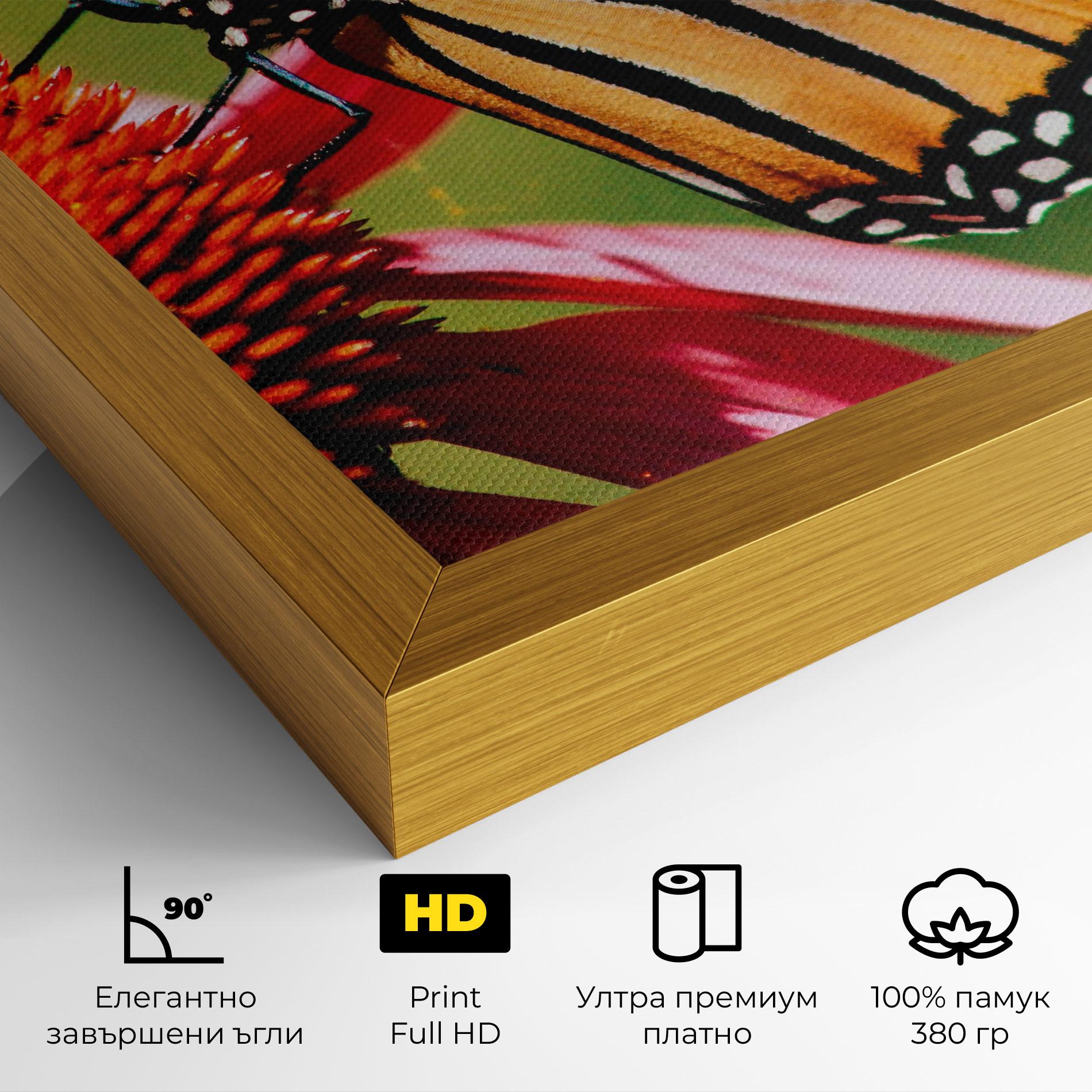 Картина на платно Big Orange Butterfly mockup 4