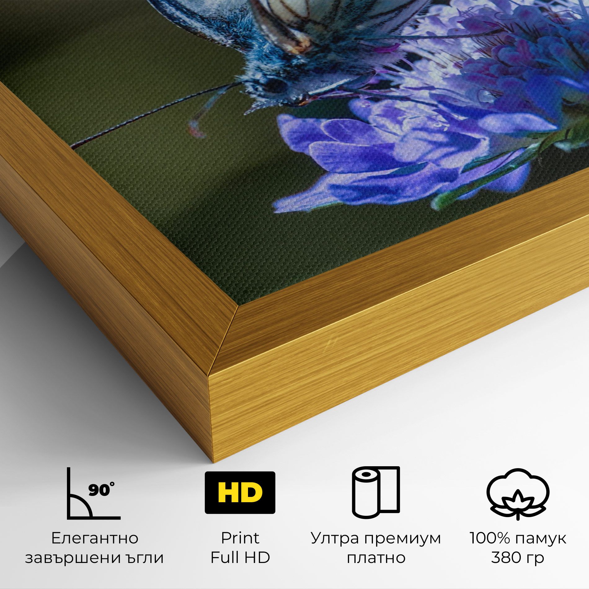 Blue Butterfly In Nature mockup 4