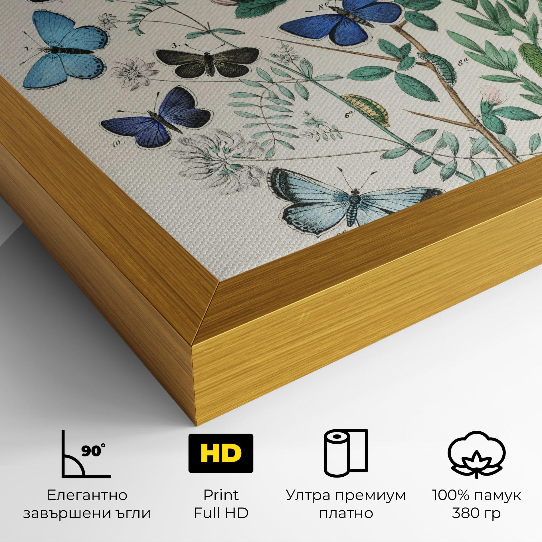 Картина на платно Blue Orange Butterflies mockup 4