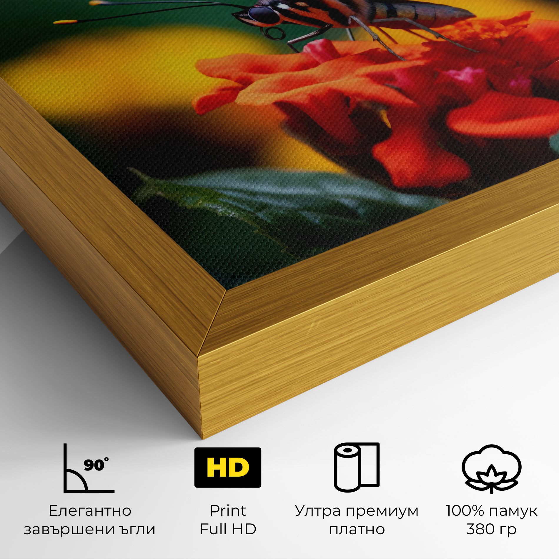 Blue Red Butterfly mockup 4